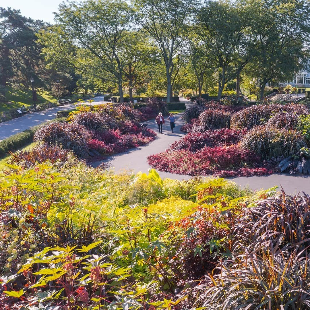 ニューヨーク植物園のインスタグラム