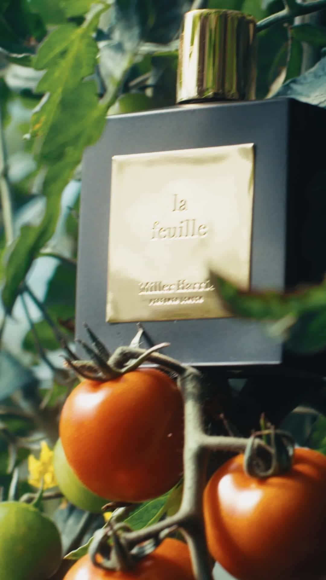 ミラーハリスのインスタグラム：「An ode to British nature and the seasonal journey of the leaf. Discover La Feuille. ⁠ ⁠ #MillerHarris #SOTD #LaFeuille」