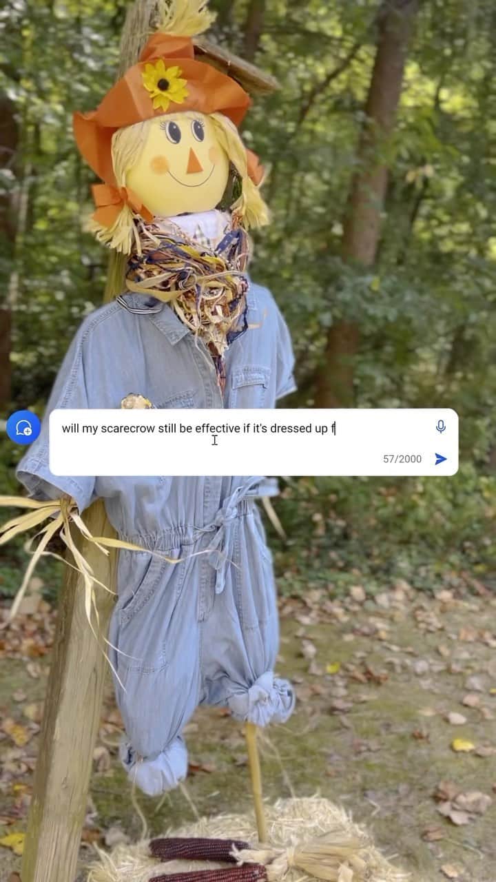 Microsoftのインスタグラム：「According to @Bing, if your scarecrow is dressed for fashion week it may attract more attention from the birds than scare them away.」