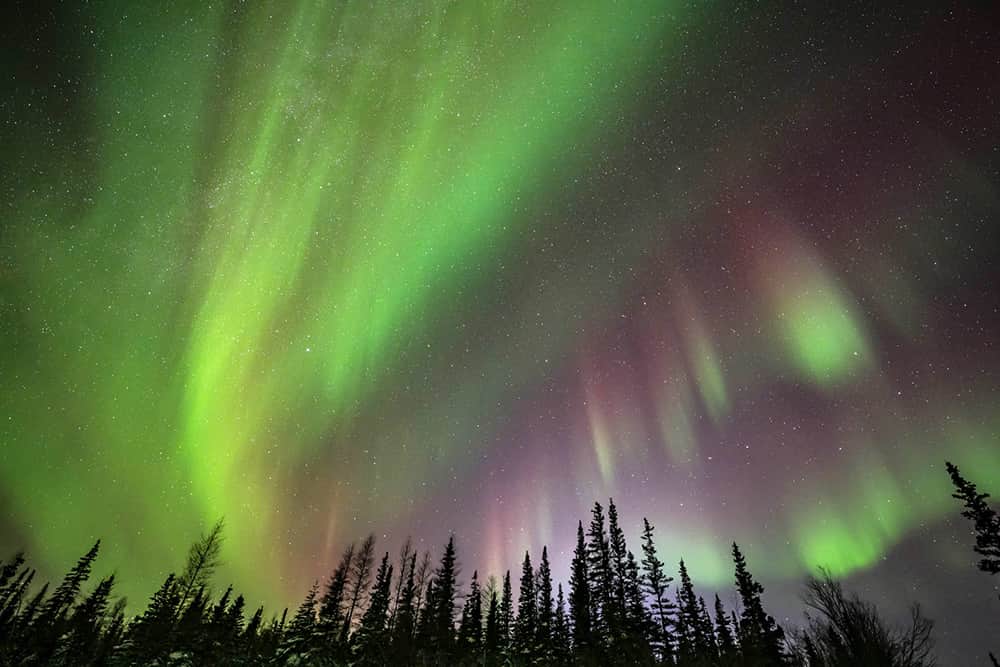 National Geographic Travelのインスタグラム：「Photo by @daisygilardini | An amazing display of northern lights in Churchill, Manitoba, Canada. Science explains that the northern lights are generated when charged particles from the sun collide with the Earth’s upper atmosphere. Mythology has some interesting explanations of its own. In Finland it’s believed the lights are sparkles created by a running arctic fox. In North America, some Indigenous peoples believe the aurora is the dance of animal and human spirits. Regardless of science and mythology, the phenomenon is an absolutely mesmerizing experience.   Follow me @DaisyGilardini for more images and stories from behind the scenes. #WorldSpaceWeek #NorthernLights」