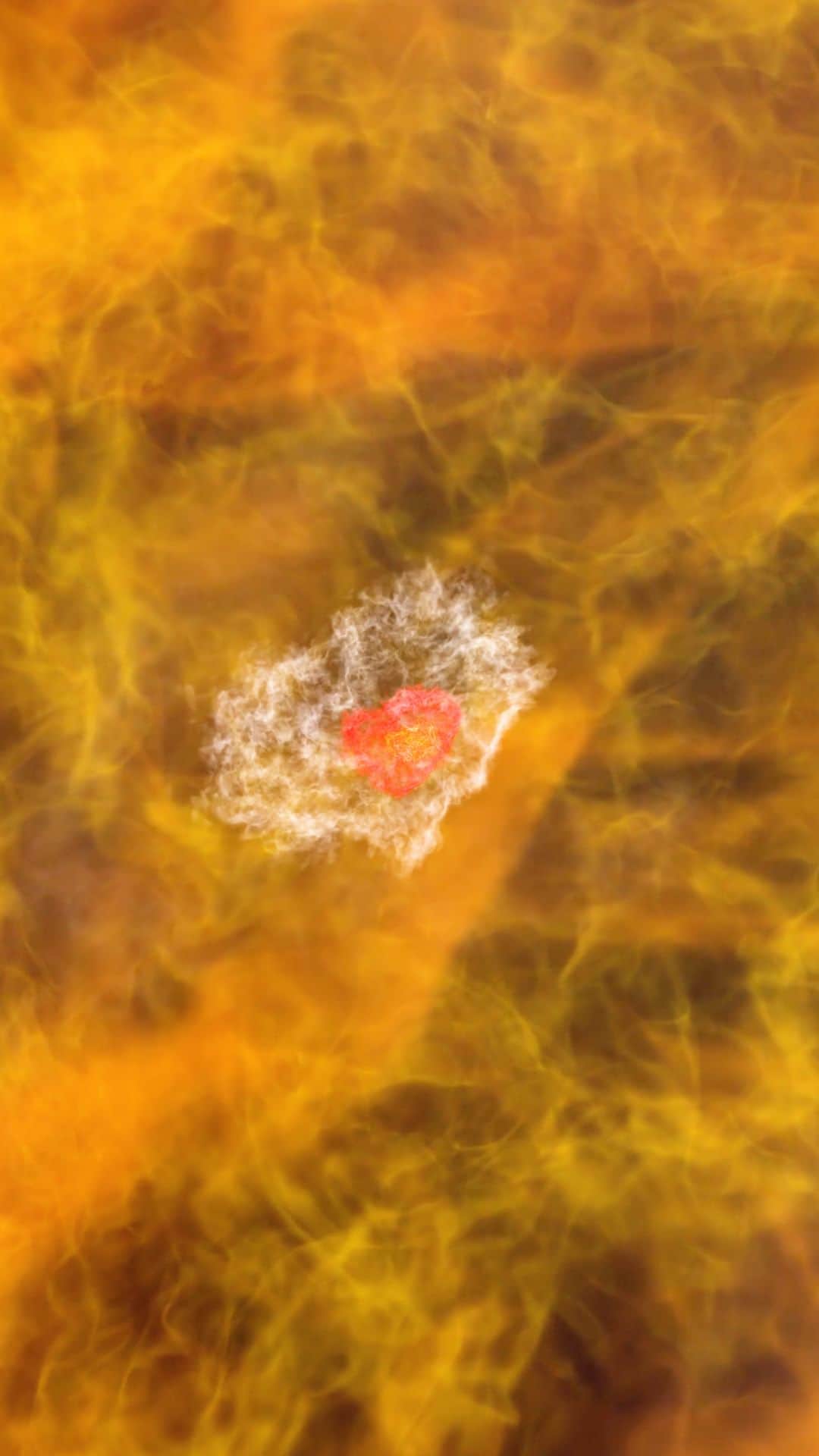 ナショナルジオグラフィックのインスタグラム：「Ever wonder what the first stars looked like when they were born? This computer simulation takes us deep into an early star-forming region just a hundred million years after the big bang.  Learn how simulations can be used to study the critical first steps that telescopes cannot yet see at the link in bio. #WorldSpaceWeek」