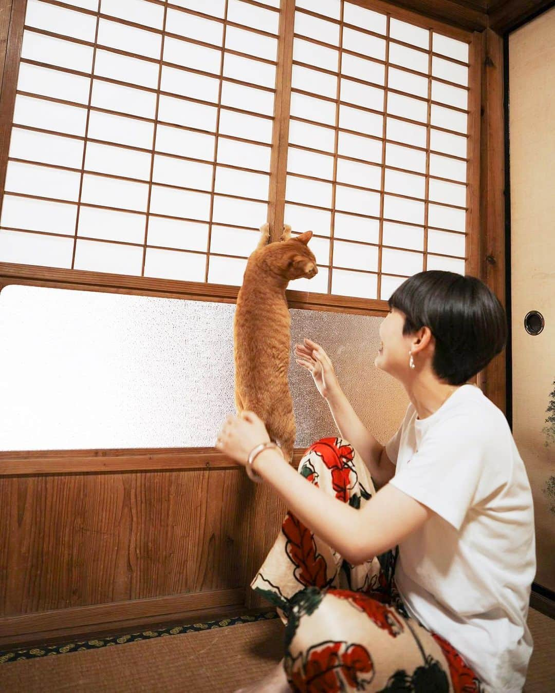 NIKIIEさんのインスタグラム写真 - (NIKIIEInstagram)「新曲「WABISABI」🍂🇯🇵👘🐈 ＼　配信開始！／  🔗 linkco.re/r4vUP7td  ドビーと頼もしいドビーのマネージャーさんたち🧡🧡🧡  📷 @kenji_agata  Drum programming by JAYTWOL @jujuclubfringues  Mixed & mastered by Takayuki Noami a.k.a. Tia Rungray(Non-REM Studio) @TiaRungray   #nikiie #linkcore #wabisabi #gingercat」10月4日 16時39分 - nikiiejp