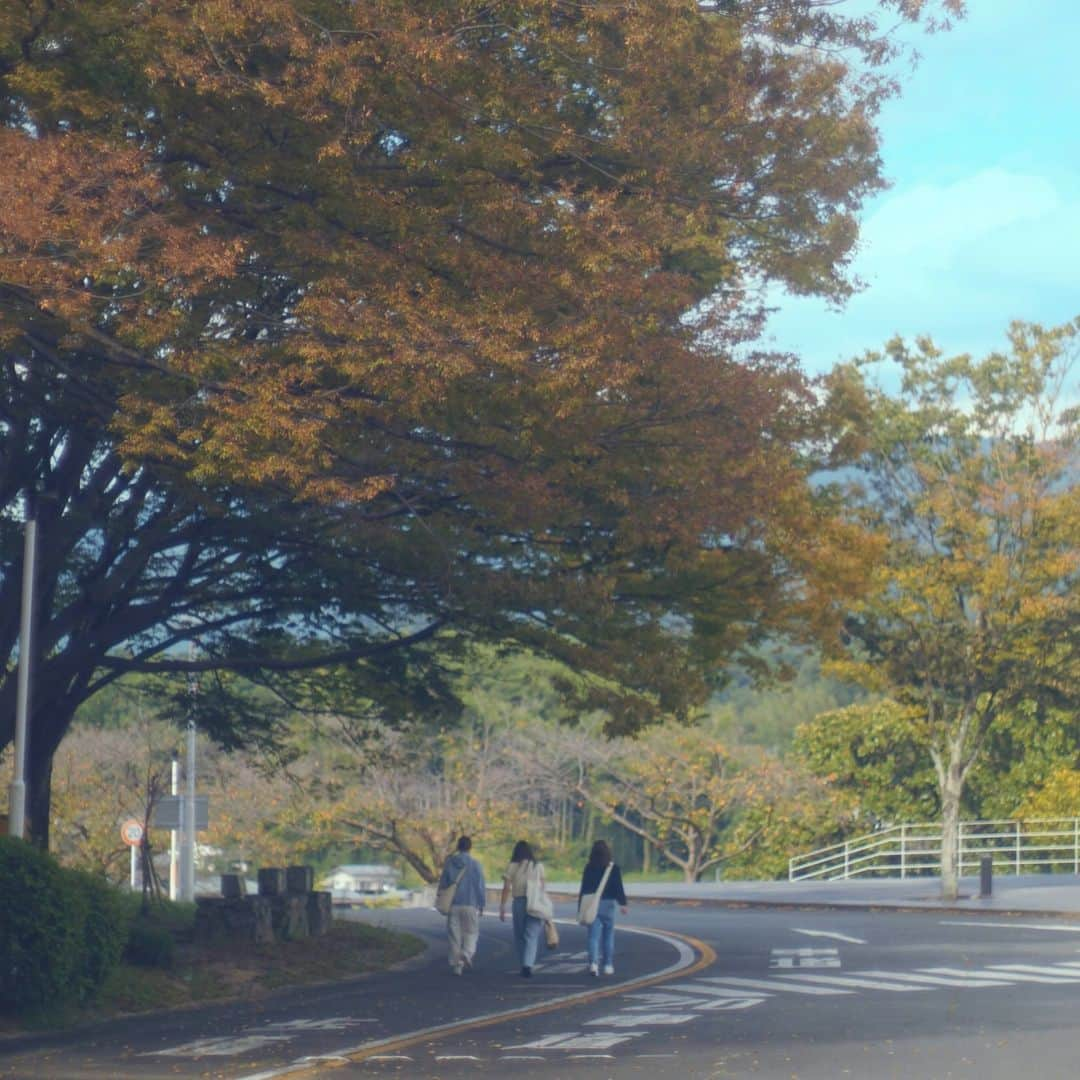 福岡女子短期大学さんのインスタグラム写真 - (福岡女子短期大学Instagram)「💠1/365 Days  こんにちは #福岡県 #太宰府市 は曇り☁️ 気温は25℃です🐨 キャンパス内は夕陽が綺麗です 放課後に撮影しました 撮影に協力いただいた皆様 ありがとうございました✨  ーーーーーーーーーーーーーー #福岡女子短期大学 #スナップ写真 #ストリートスナップ #写真好きな人と繋がりたい #福女短スナップ #キリトリセカイ #福岡カメラ部 #オールドレンズ #オールドレンズに恋をした #supertakumar50mmf14 #オータムカラー #福岡カメラ女子 ーーーーーーーーーーーーーー」10月4日 17時30分 - fukuoka_wjc