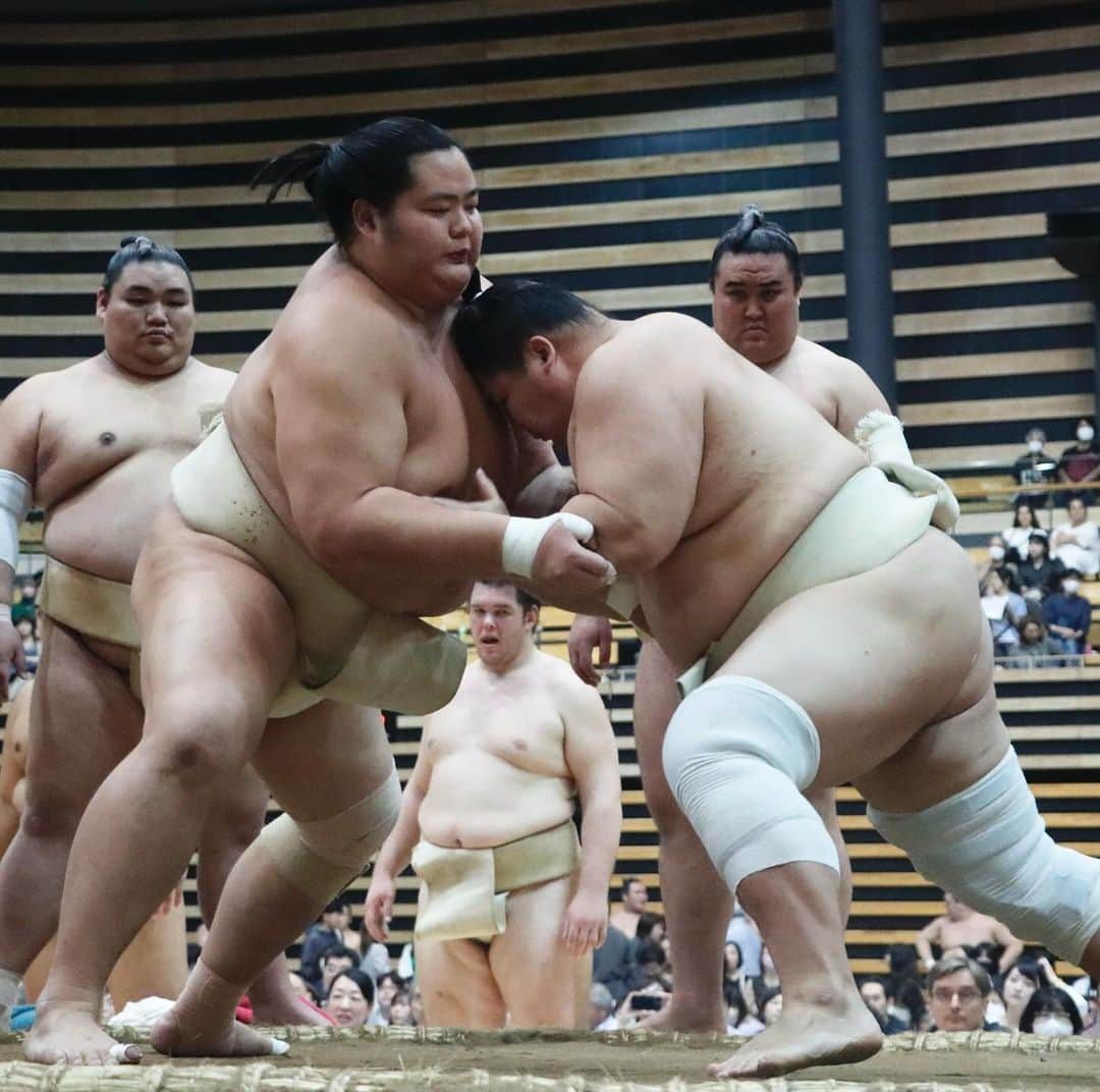 日本相撲協会さんのインスタグラム写真 - (日本相撲協会Instagram)「秋巡業 城南大田場所  本日より令和5年秋巡業が始まり、東京都大田区で開催されました。 巡業では取組のほかに、 稽古・撮影会・初切・髪結実演など 様々なものが楽しめます。  本日の城南大田場所の様子。 秋巡業は10月29日の大阪府門真市開催まで突っ走ります！  @sumokyokai #sumo #相撲 #巡業 #秋巡業 #城南大田場所 #東京都  #大田区総合体育館 #お相撲さん #japan #japanculture #japanesephoto  #北の若 #朝乃山 #千代栄 #翔猿 #豪ノ山 #獅司 #若元春 #熱海富士 #克之」10月4日 17時57分 - sumokyokai