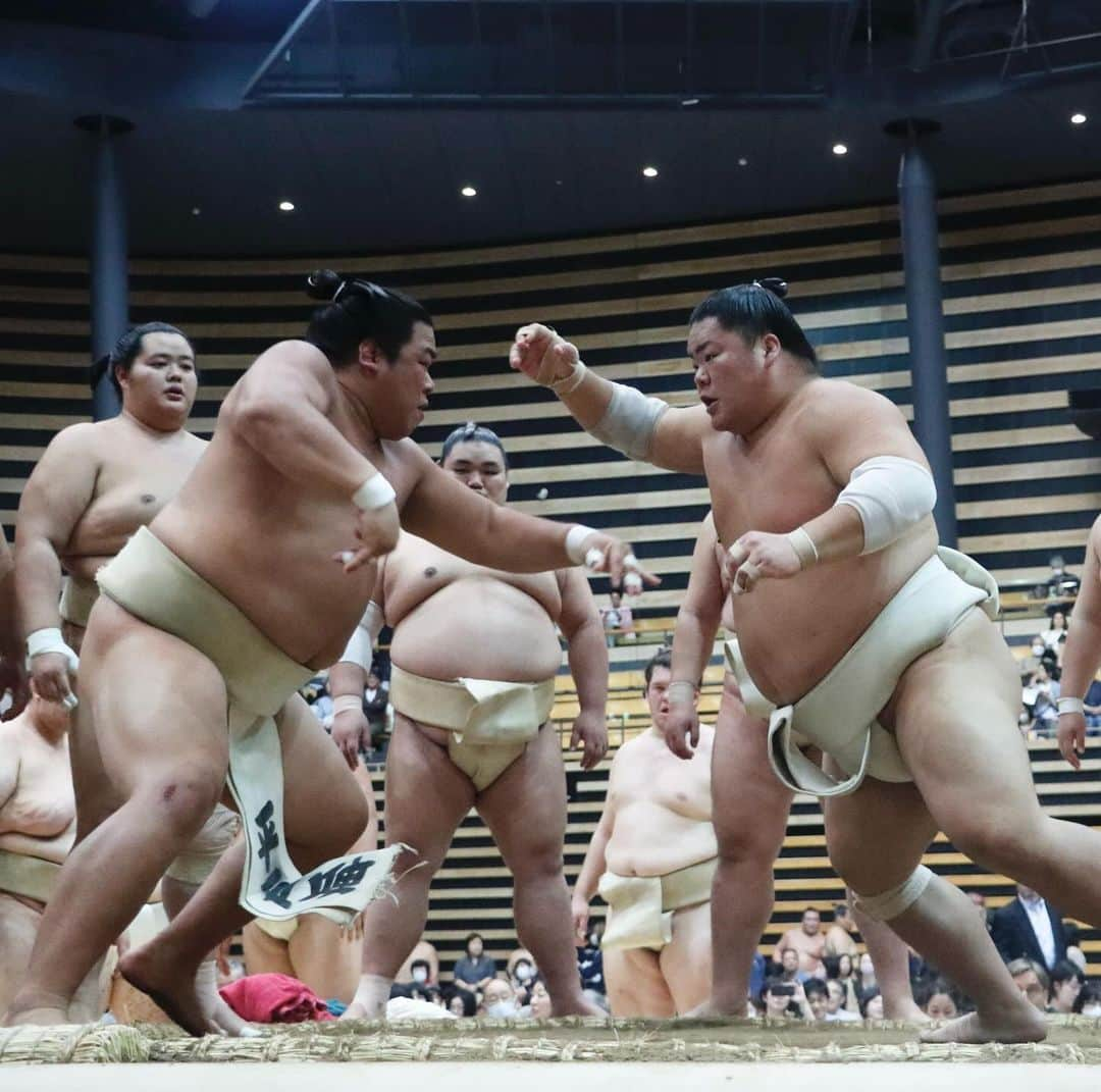 日本相撲協会さんのインスタグラム写真 - (日本相撲協会Instagram)「秋巡業 城南大田場所  本日より令和5年秋巡業が始まり、東京都大田区で開催されました。 巡業では取組のほかに、 稽古・撮影会・初切・髪結実演など 様々なものが楽しめます。  本日の城南大田場所の様子。 秋巡業は10月29日の大阪府門真市開催まで突っ走ります！  @sumokyokai #sumo #相撲 #巡業 #秋巡業 #城南大田場所 #東京都  #大田区総合体育館 #お相撲さん #japan #japanculture #japanesephoto  #北の若 #朝乃山 #千代栄 #翔猿 #豪ノ山 #獅司 #若元春 #熱海富士 #克之」10月4日 17時57分 - sumokyokai