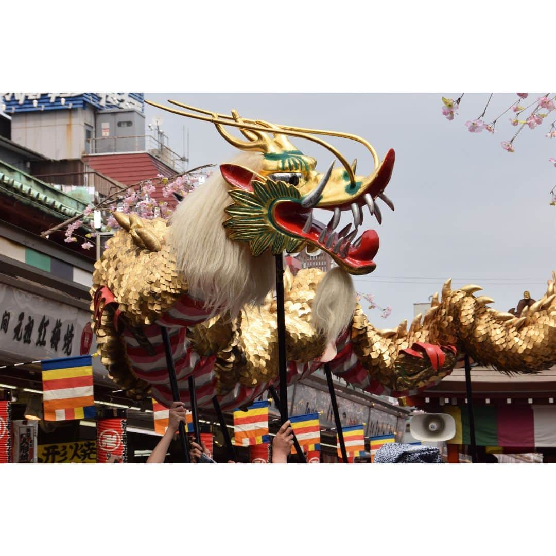 TOBU RAILWAY（東武鉄道）のインスタグラム：「. . 📍Asakusa - Golden Dragon Dance A splendid golden dragon dance at Sensoji Temple! . The Golden Dragon Dance will be held in front of the main hall of Sensoji Temple on October 18, 2023! The name of the Golden Dragon Dance comes from Kinryuzan, the honorific name of Sensoji which means “Golden Dragon Mountain.” It was first presented to commemorate the reconstruction of the main hall in 1958. The lotus pearl, which symbolizes, Kannon, the goddess of mercy, leads the performance. The Golden Dragon, which protects it, parades through the shops of the temple and the temple grounds. The splendid Golden Dragon is around 18 meters in length and 88 kilometers in weight. The dragon dancing among the musical accompaniment is a must see! . . . . Please comment "💛" if you impressed from this post. Also saving posts is very convenient when you look again :) . . #visituslater #stayinspired #nexttripdestination . . #asakusa #goldendragon #sensoji #recommend #japantrip #travelgram #tobujapantrip #unknownjapan #jp_gallery #visitjapan #japan_of_insta #art_of_japan #instatravel #japan #instagood #travel_japan #exoloretheworld #ig_japan #explorejapan #travelinjapan #beautifuldestinations #toburailway #japan_vacations」