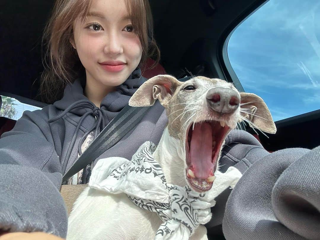COCO のインスタグラム：「하디얌🐭 derp faces is my game🐭」