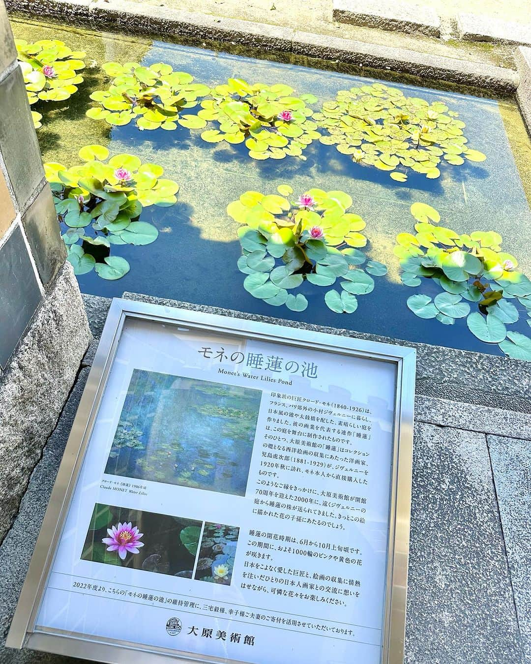 浅井麻里さんのインスタグラム写真 - (浅井麻里Instagram)「🏛️大原美術館/岡山県🏛️ ⁡ 岡山県の倉敷美顔地区にある大原美術館✨🎨 ⁡ まるでヨーロッパの建物みたいな外観✨ 日本初の私立西洋美術館だよ🏛️ ⁡ エル・グレコ作の『受胎告知』や、 クロード・モネ作の『睡蓮』が圧巻…！！ 生で観られて感動した❤️🥹 ⁡ モネの睡蓮の池もあって素敵だった✨🪷 ⁡ ⁡ #大原美術館 #美術館 #倉敷 #倉敷美観地区 #岡山県 #岡山 #岡山観光 #岡山旅行 #岡山旅 #倉敷美観地区散策 #倉敷観光 #倉敷の美観地区 #倉敷旅行 #旅ライター #トラベルライター #タビジョ #jp_mood #japantravel #フォトジェニック #japantrip #レトロ #旅したくなるフォト #美術館巡り #睡蓮 #museum」10月4日 18時15分 - mari_asai_625