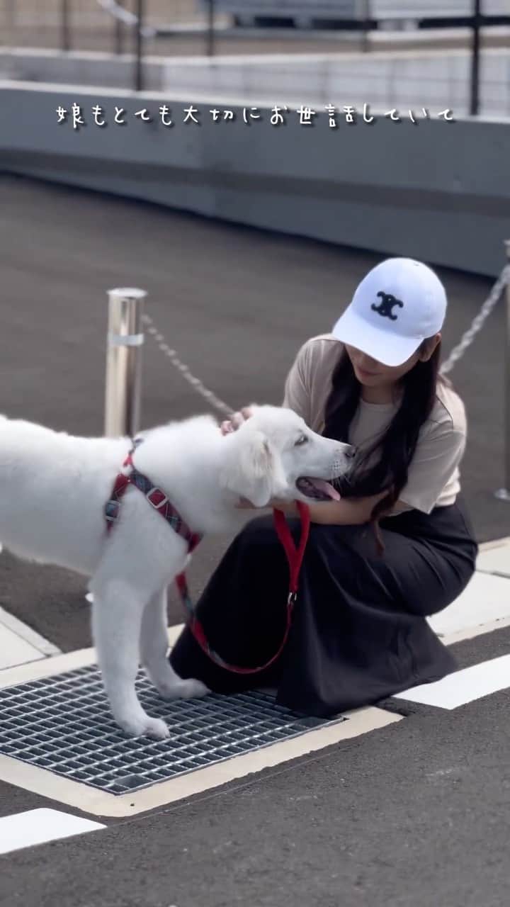 Minoriのインスタグラム：「人や子供が大好きなワンちゃん🐶  お迎えするとき家族以外にはとても警戒心が強く…と 聞いていたので、しつけトレーニングに通ってますが ゆきちゃん、人見つけると喜んでついてっちゃう🥹💦笑  気まぐれでマイペースだけど最近はお散歩も慣れてきました☺️🐾  #アラフォーコーデ #アラフォーママ  #アラフォーファッション #シングルマザー  #美容 #ダイエット #ボディメイク #アラフォー美容 #メイクブルベ #超大型犬ママ #グレートピレニーズ好きと繋がりたい」