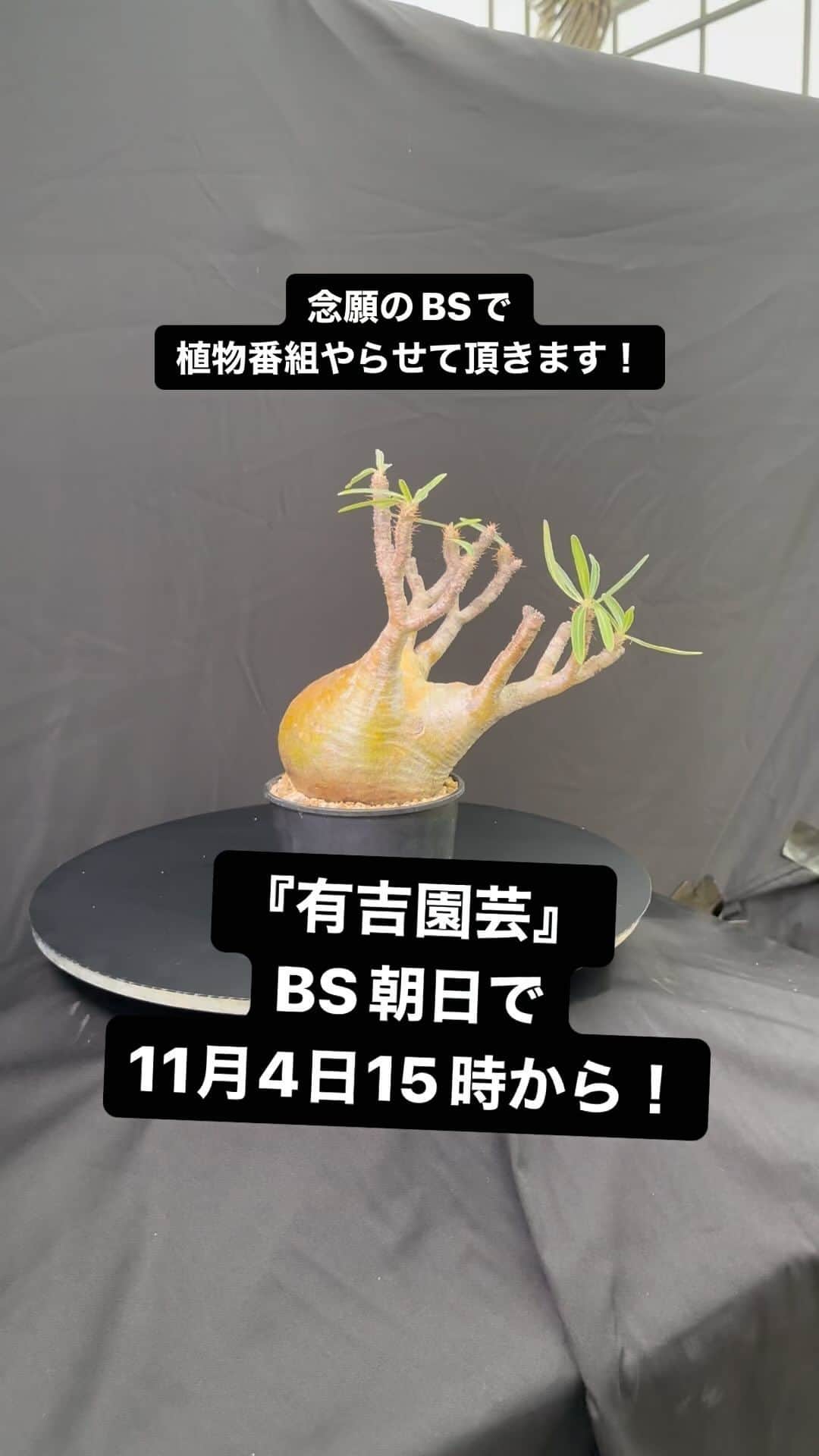 有吉弘行のインスタグラム：「有吉園芸やります！ 演芸じゃなく園芸！！念願のBS朝日！ 11月4日 15時から。」