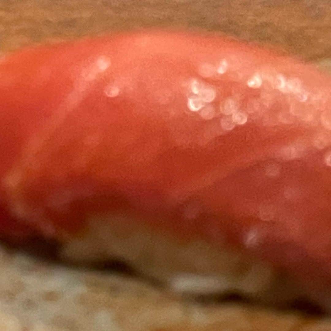 こいでのインスタグラム：「ドアップ過ぎと言われたので コハダは引きで撮りました １９時30からYouTubeでギャロップたけしと 対談します〜」