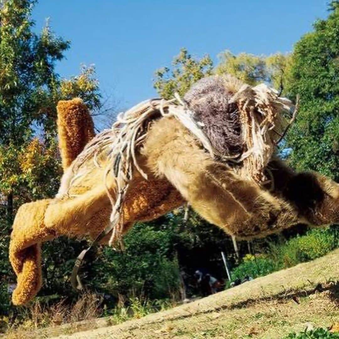 クリエイターズ・ファイル公式（ロバート秋山）さんのインスタグラム写真 - (クリエイターズ・ファイル公式（ロバート秋山）Instagram)「10月4日は世界動物の日。  世界一クリエイティブな大型犬、ロルフくん。  公園に行くのが大好きだというロルフくん。 体重が96kgあるのもかかわらず元気に飛び回るというのは有名な話。  では、ネット上で大きな話題となったロルフくんの動画はどんな動画でしょう?!  答えは明日の投稿の最後で! ※昨日のクイズの答え→「ホーライ」  #クリエイターズファイル #ロルフくん #犬 #愛犬 #クリエイター #クリエイティブ #写真日記 #日記 #記念日 #ダイアリー #クイズ #サプライズ #netflix #毎日投稿 #ロバート秋山 #お笑い好き」10月4日 18時49分 - creatorsfile_officialgoods
