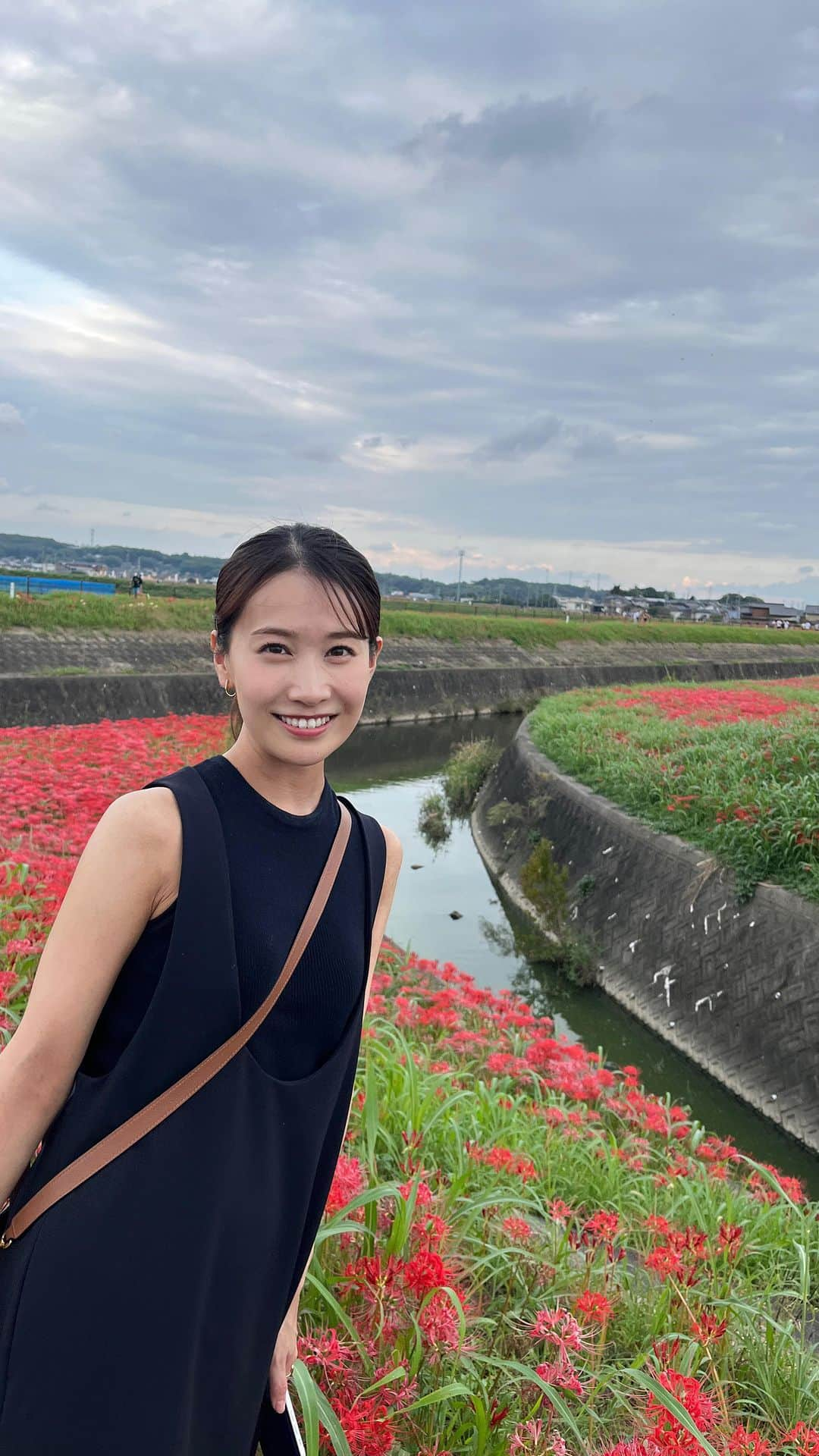 島津咲苗のインスタグラム：「せっかくなので 写真と動画まとめました🎥  季節の花、日本の四季 守っていかねばですね...  本当に急に寒くなりましたので 皆さまご自愛ください。  #母カメラ #半田市 #ごんぎつね #新美南吉 #矢勝川 #矢勝川堤の彼岸花 #彼岸花 #ヒガンバナ #コスモス #秋桜 #秋コーデ #秋のお出かけ #愛知観光 #愛知県 #名古屋おでかけ #休日の過ごし方」