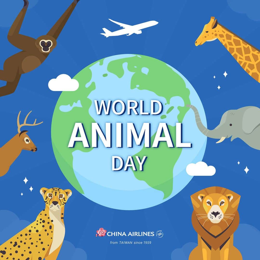 日本地区チャイナ エアラインのインスタグラム：「【World Animal Day】  今日は「世界動物の日」。 私たちはグループパートナーとともに、生物多様性の保全と持続可能な環境開発を積極的に実施しています🐘🐅✨  👉バッキンガム宮殿宣言を支持し、森林および生物多様性保全に関するコミットメントを発表 👉フカヒレや実験的霊長類の輸送を禁止し、保護種の原材料使用を避ける 👉機内で視聴可能な環境持続可能性に関する動画を提供 👉台湾の持続可能な林業への取り組み(南庄)、植林プロジェクト(桃園)、ビーチ清掃活動 👉動物の里親募集プログラムに参加し、トラ、ヒョウ、ヒョウモントカゲモドキ、タイワンオオコノハズクなどの保護活動に貢献  グローバルESGサステナビリティ・プログラムの支援👉  https://www.china-airlines.com/tw/zh/about-us/eco-travel  💗 持続可能な環境行動 https://www.china-airlines.com/tw/zh/about-us/Actions_for_the_Earth 💗生物多様性リスクマネジメント https://calec.china-airlines.com/csr/environment/biodiversity-risk-management.html 💗機内環境教育フィルム https://www.asia-premier.com/ebook-fs-tv  ＜公式HP＞ https://goo.gl/vif8Qp  #chinaairlines #中華航空 #台湾 #台湾旅行 #台湾好きな人と繋がりたい  ---------------------------------------------------------------------------------- DFPに入会するとバースデーディスカウント等のうれしい特典が盛りだくさん！ ご入会はコチラ👉　https://bit.ly/3YIQ7cl」