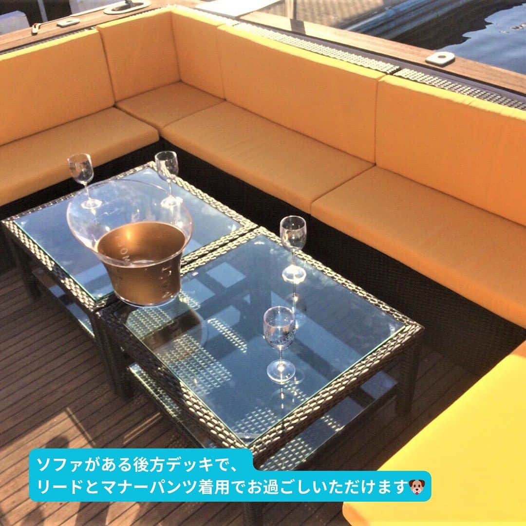 アニバーサリークルーズさんのインスタグラム写真 - (アニバーサリークルーズInstagram)「🐶かわいい愛犬といっしょに貸切クルージング 🚢❤  アニバーサリークルーズの船は70隻以上あるので、 わんちゃんが一緒に乗れるものもご用意しています⚓✨  ⚓小型：アニー ⚓中型：ミッドブルー ⚓中型：オリエンタルノア ⚓大型：セレブリティ2 etc…  船上プランナーへお気軽にご相談を💁🏻‍♀️⛴️  ＿＿＿＿＿＿＿＿＿＿＿＿  東京・横浜・千葉の貸し切りクルージングは 年間2,000以上のクルーズ実績がある 「#アニバーサリークルーズ」にお任せください🚢〰︎  70隻から選べる完全オーダーメイドの 特別な貸切クルージングで 「#忘れられない記念日」をつくりませんか？  お問い合わせはお気軽にどうぞ💁‍♀️ ＿＿＿＿＿＿＿＿＿＿＿＿  #クルーズ #クルーズ船 #船 #船好きな人と繋がりたい  #anniversarycruise #貸切クルージング #船上パーティー #パーティー #絶景 #貸切 #ペット可 #ペット #ペットokのお席あり  #わんちゃん #愛犬家 #愛犬との時間 #ペットのいる生活  #ペット同伴可 #わんこ #東京観光 #東京タワー #レインボーブリッジ #お出かけ #お出かけスポット  #tokyo #odaiba #tokyotower #cruising」10月24日 18時00分 - anniversary_cruise
