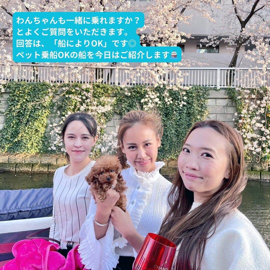 アニバーサリークルーズさんのインスタグラム写真 - (アニバーサリークルーズInstagram)「🐶かわいい愛犬といっしょに貸切クルージング 🚢❤  アニバーサリークルーズの船は70隻以上あるので、 わんちゃんが一緒に乗れるものもご用意しています⚓✨  ⚓小型：アニー ⚓中型：ミッドブルー ⚓中型：オリエンタルノア ⚓大型：セレブリティ2 etc…  船上プランナーへお気軽にご相談を💁🏻‍♀️⛴️  ＿＿＿＿＿＿＿＿＿＿＿＿  東京・横浜・千葉の貸し切りクルージングは 年間2,000以上のクルーズ実績がある 「#アニバーサリークルーズ」にお任せください🚢〰︎  70隻から選べる完全オーダーメイドの 特別な貸切クルージングで 「#忘れられない記念日」をつくりませんか？  お問い合わせはお気軽にどうぞ💁‍♀️ ＿＿＿＿＿＿＿＿＿＿＿＿  #クルーズ #クルーズ船 #船 #船好きな人と繋がりたい  #anniversarycruise #貸切クルージング #船上パーティー #パーティー #絶景 #貸切 #ペット可 #ペット #ペットokのお席あり  #わんちゃん #愛犬家 #愛犬との時間 #ペットのいる生活  #ペット同伴可 #わんこ #東京観光 #東京タワー #レインボーブリッジ #お出かけ #お出かけスポット  #tokyo #odaiba #tokyotower #cruising」10月24日 18時00分 - anniversary_cruise