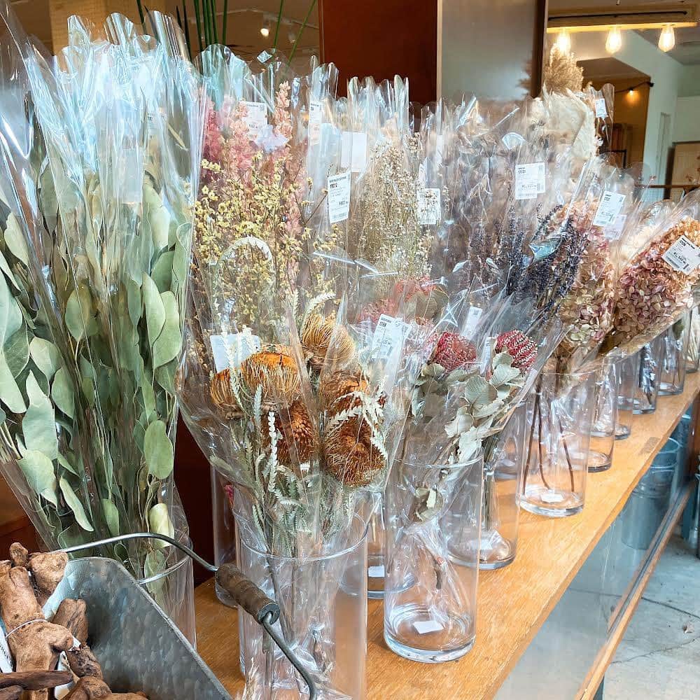 GEORGE'Sのインスタグラム：「秋の気分にぴったりのドライフラワー。  ニュアンスのある色合いが素敵なお花がたくさん揃いました！   吊るしたり、花瓶に挿したり。  好みにアレンジしてお部屋に飾ってみませんか。  #georges #ジョージズ」