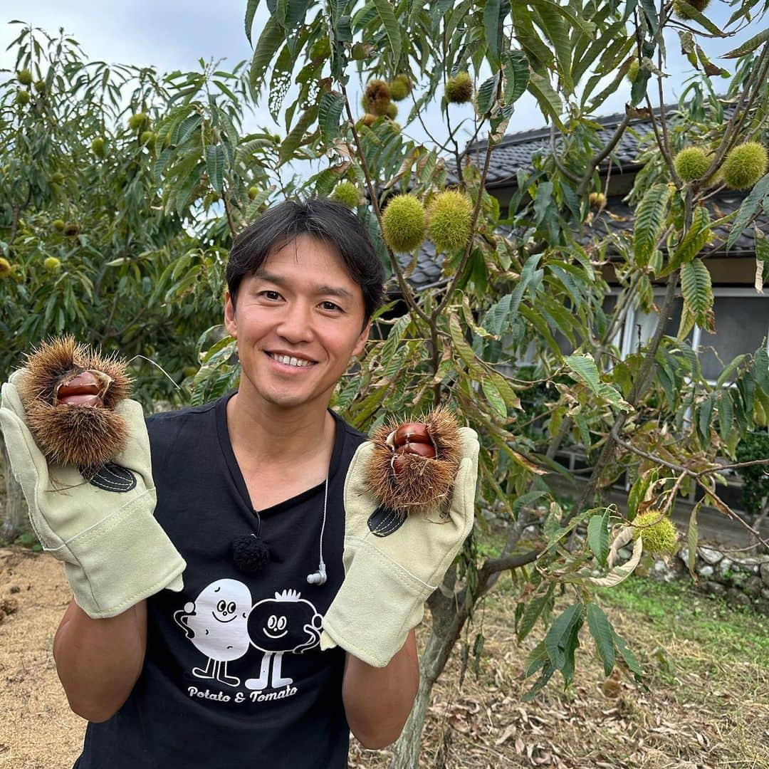 山中真のインスタグラム：「・ 丹波栗のシーズン到来！  ただでさえ 大きくて風味の良い丹波栗、 芦田さんのとこでは 1ヶ月低音熟成させ なんと糖度倍以上に！  そしてときわどうの辻さんは 丹波栗モンブランを 目の前で仕上げてくれました♪  美味しすきで食べすぎて 昨日夜10キロ走ったし。  #mbs #よんチャンtv  #毎日生中継 #山ちゃん中継 #丹波栗　#芦田農園 #ときわどう　#モンブラン」