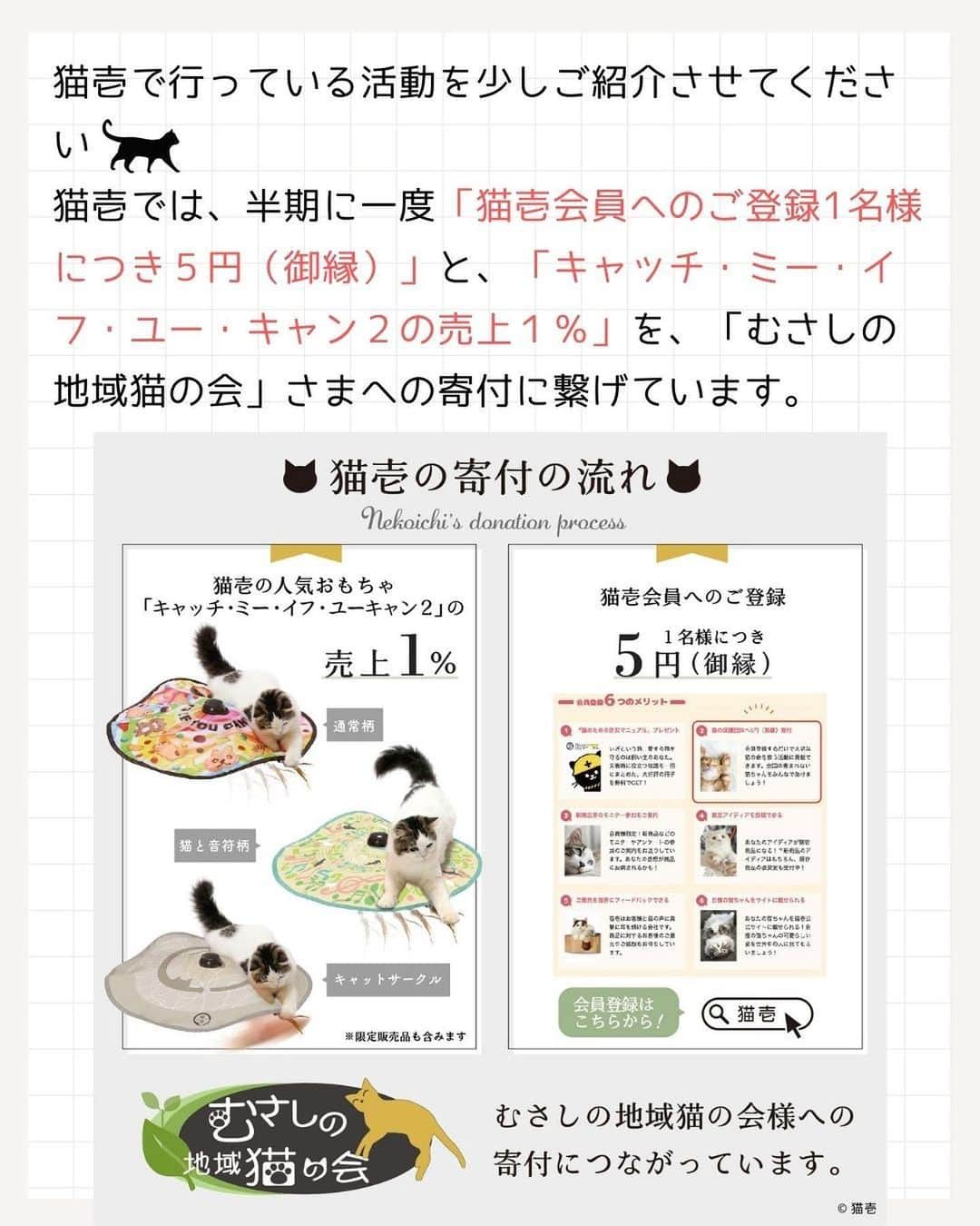 猫壱（ねこいち•ネコイチ）さんのインスタグラム写真 - (猫壱（ねこいち•ネコイチ）Instagram)「\今日は世界動物の日/  世界動物の日は動物愛護や動物保護を目的に定められた世界的な記念日です🐱  そこで、猫壱でも行なっている活動を少しご紹介🐾 猫壱の活動を少しでも知っていただければ嬉しいです🙌  また、保護猫団体様への寄付に繋がる猫壱会員さんも随時募集しております✨ ストーリーズのリンクよりチェックしてみてくださいね🐱❤︎   :::::::::#猫壱 :::::::  猫壱は\猫が幸せ、私も幸せ/をモットーに猫グッズの開発に取り組んでいます♪ ▫ 気になる方は @necoichicojp をチェックしてみてくださいね！ ▫  ................................................  #猫壱豆知識#猫壱#necoichi#豆知識#ねこと暮らす #世界動物の日 #保護猫 #worldanimalday」10月4日 20時15分 - necoichicojp