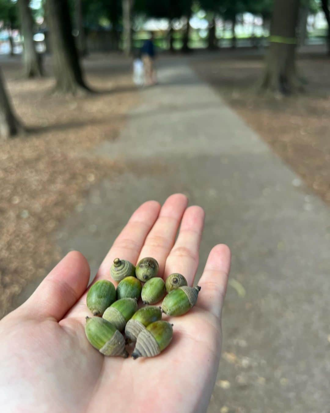 大浦育子さんのインスタグラム写真 - (大浦育子Instagram)「砧公園できぬた焼き❣️ あんこ&カスタード味を家族3人でわけっこ👦  先日やっと暑さも落ち着いたので、久しぶりに公園日和な日でした。家からお弁当を持ってってのんびり〜✨ 普段見かけない緑色のどんぐりを拾って大興奮な娘でした💚 .  #砧公園 #きぬたやき #食欲の秋」10月4日 20時21分 - ikuko_oura