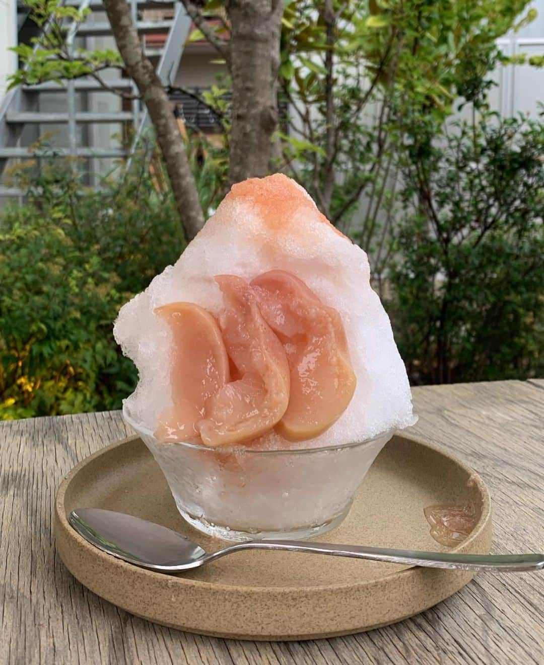 TOKOさんのインスタグラム写真 - (TOKOInstagram)「夏を振り返って結局今年もそこまでかき氷食べれなかったな。と反省  来年はもうちょっとゴーラーとしての活動範囲を 広げていこうかな  個人的今年の優勝は、Denny's【氷はちみつ檸檬ミルク】 レモンの酸っぱほろ苦さに蜂蜜とミルクが最高に合っていて 柑橘好きには堪らなかったです。  Denny'sさんありがとう来年も楽しみにしています。✴︎ 🐝」10月4日 20時43分 - toko______