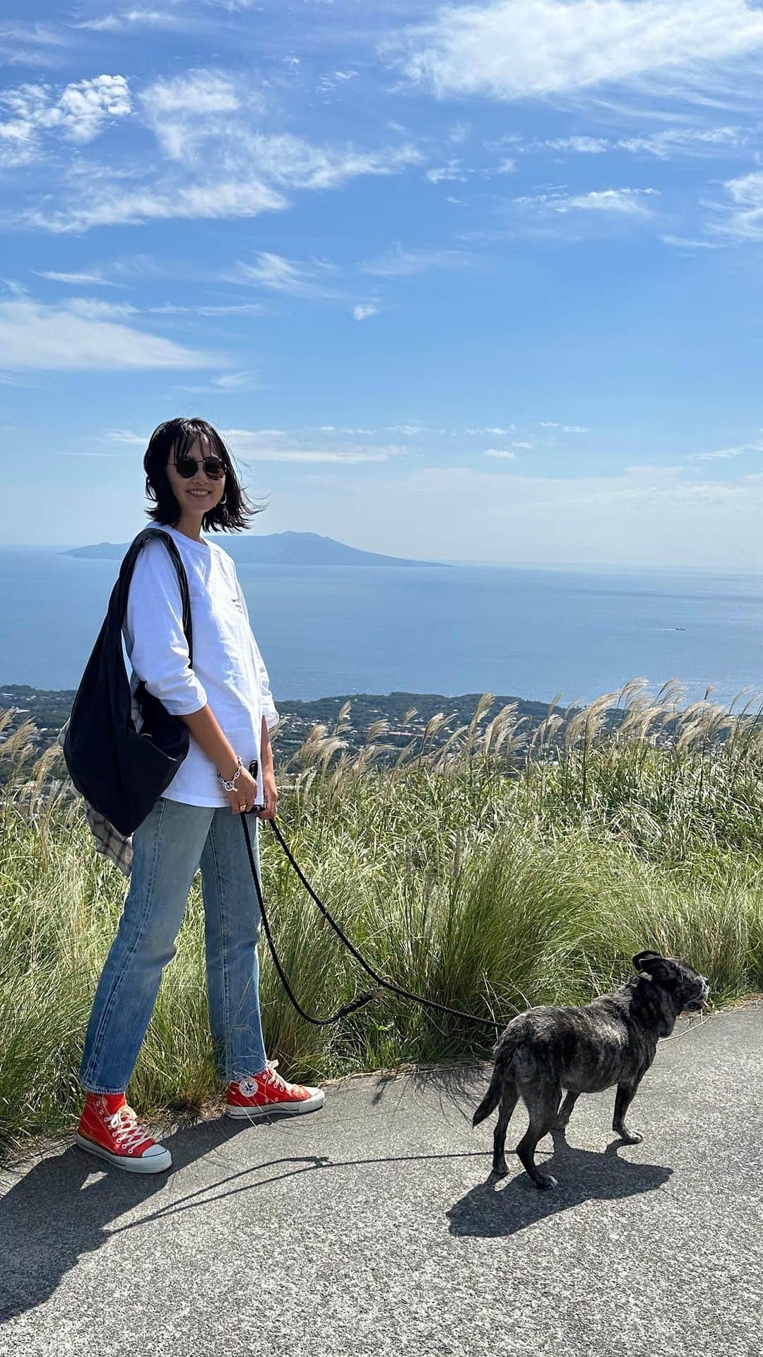 李ヒャンのインスタグラム：「ぽーちゃんのBDtrip。 トトともよく行った大好きな海に久しぶりに行って 山に一緒に登ったよ。 とにかく最高のお天気に恵まれて ぽーと一緒に旅できる事が幸せ過ぎて 私が1番楽しんでいたかもしれない 2年前 仕事が落ち着いたら行こうね と先延ばしにしてしまいその間にトトが病気になってしまってBDtrip行ってあげられなかった事を凄く後悔している、、、 その後悔を繰り返さないようにって決めたから 早めに計画したBDtrip 来年もまた行けるように ぽーが元気でいれますようにと ただただ願いながら過ごした2日間。 また大事な思い出が増えて 幸せです♡ #pug #frepug #frenchbulldog #ilovemydog #birthdaytrip #ぽにトト」