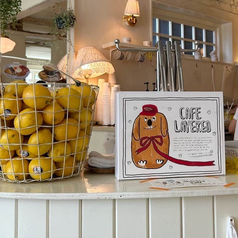 あかねぴのインスタグラム：「.  🫖🍋🐾」