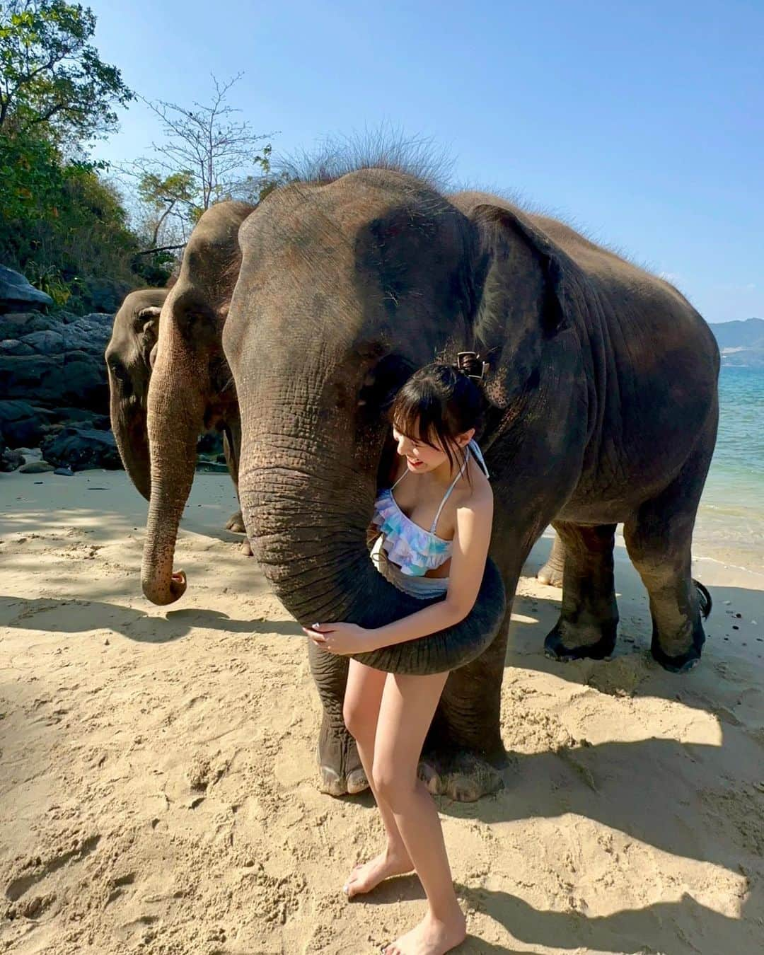 岡本怜奈さんのインスタグラム写真 - (岡本怜奈Instagram)「♡ 🐘🫧‪ ⁡ 鼻の上にも乗せてくれたり、ちゅーしてくれたり、 めっちゃサービスしてくれたよ🐘🩷🩷 ⁡ 大きくて乗るの怖かったんだけど、わざわざしゃがんでくれて、優しいぞうさんやった‪⸜(*ˊᵕˋ* )⸝‬ ⁡ ⁡ 賢いぞうさんで、ご飯の入ってる扉開けてつまみ食いしようとしてたから見てたら、お姉さんがあげていいですよってバナナくれたんだ🍌 タイの方みんないい人🥹👍🏻 ♡ ♡ #タイ #タイ旅行  #🇹🇭 #プーケット #プーケット旅行 #リゾート #アジアリゾート#プーケット観光 #海外女子旅 #เที่ยวเมืองไทย #ภูเก็ต #🐘 #象 #ビーチ #elephant #beach #happy」10月4日 21時26分 - renatan1222