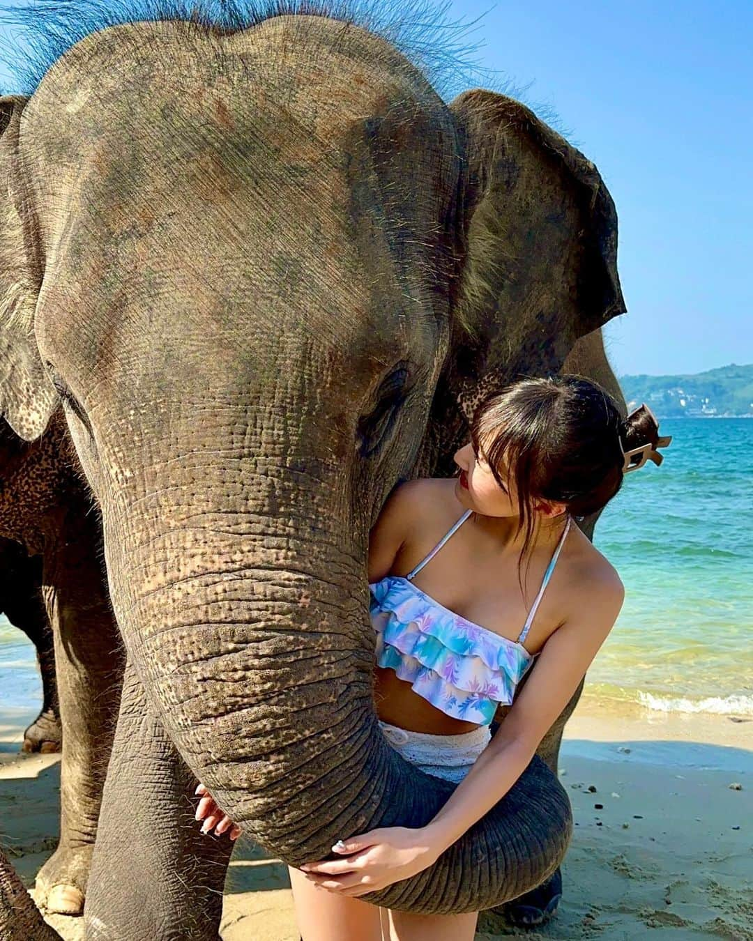 岡本怜奈さんのインスタグラム写真 - (岡本怜奈Instagram)「♡ 🐘🫧‪ ⁡ 鼻の上にも乗せてくれたり、ちゅーしてくれたり、 めっちゃサービスしてくれたよ🐘🩷🩷 ⁡ 大きくて乗るの怖かったんだけど、わざわざしゃがんでくれて、優しいぞうさんやった‪⸜(*ˊᵕˋ* )⸝‬ ⁡ ⁡ 賢いぞうさんで、ご飯の入ってる扉開けてつまみ食いしようとしてたから見てたら、お姉さんがあげていいですよってバナナくれたんだ🍌 タイの方みんないい人🥹👍🏻 ♡ ♡ #タイ #タイ旅行  #🇹🇭 #プーケット #プーケット旅行 #リゾート #アジアリゾート#プーケット観光 #海外女子旅 #เที่ยวเมืองไทย #ภูเก็ต #🐘 #象 #ビーチ #elephant #beach #happy」10月4日 21時26分 - renatan1222