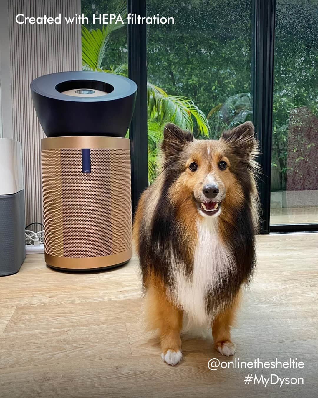 Dysonさんのインスタグラム写真 - (DysonInstagram)「That’s so fetch. 🐶  Create a comfortable indoor environment for you and your furry friends with the Dyson Purifier Big+Quiet Formaldehyde. Engineered to capture 99.95% of pollutants as small as 0.1 microns.   For purified playtime indoors.   📸: @onlinethesheltie  Use #MyDyson for the chance to be featured.  #DysonPurifier #DysonHome #PetsofDyson #DysonTechnology」10月4日 21時31分 - dyson