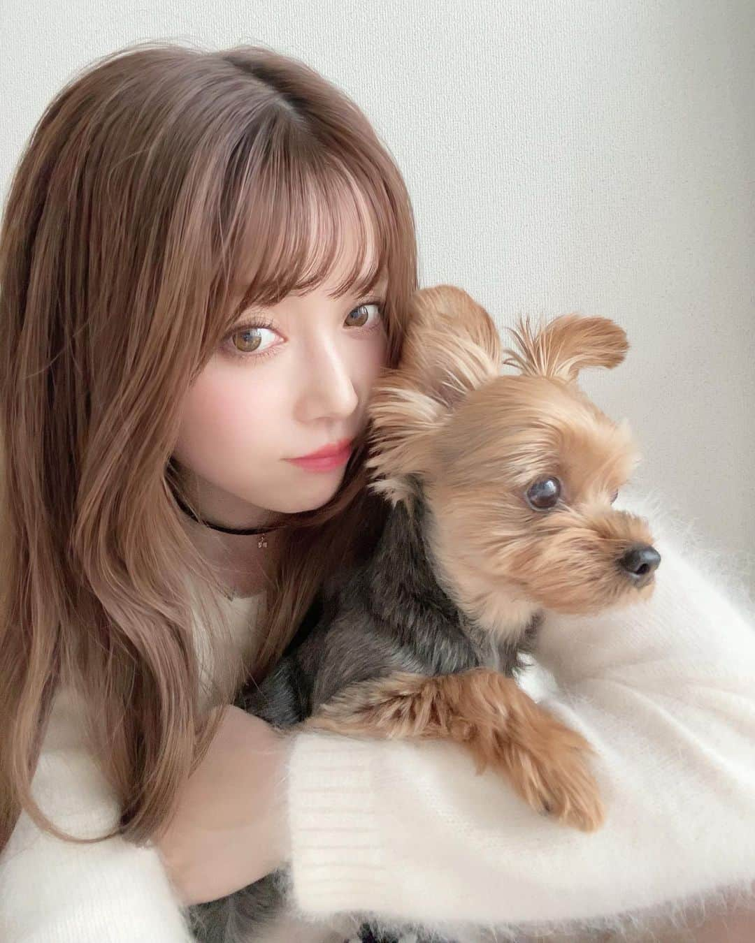 おりもあいのインスタグラム：「ちぃ🐶と…💗 最近涼しくなったから明るい時間にお散歩してる✨ それが嬉しいっぽくお尻ぷりぷりしながら歩いてる😂 3枚目、目線ありだけどブレブレ。笑」