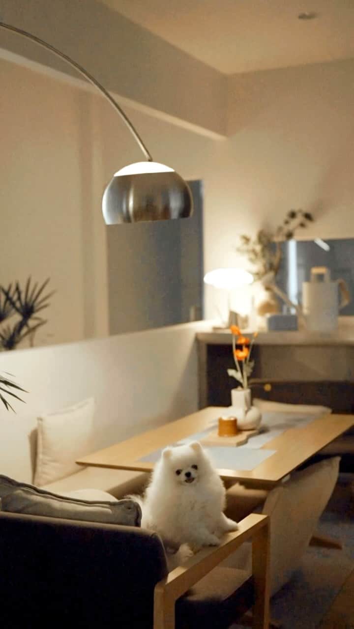 のインスタグラム：「4.10.23 ⛈️  #mujisama #meyuandthem」