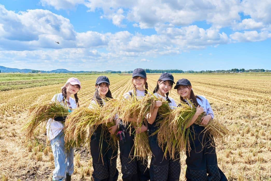 清司麗菜のインスタグラム：「2020年からスタートしたNGT48農業部🌾  今年も越後新鮮組の皆さんに協力していただきながら、NGT48みんなで大切に育てたお米が美味しく育ちました🌾  今年もときむすめが販売される予定ので皆さんにぜひ食べていただきたいです🫶  #ngt48#ngt48農業部#新米#稲刈り#ときむすめ」