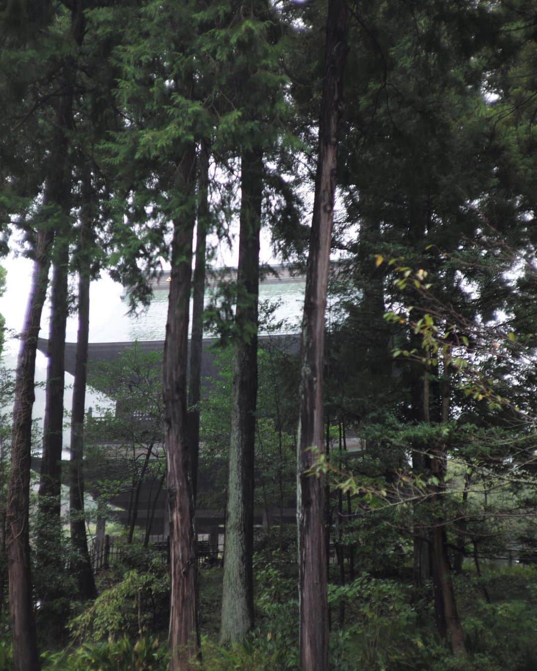 榊いずみさんのインスタグラム写真 - (榊いずみInstagram)「今日は鎌倉・円覚寺の龍隠庵に10/29「満月夜話」の打ち合わせ。  出演者、スタッフが龍隠庵に訪れて静かな環境の中、熱い時間でした。  なんと29日は、江ノ島神社の弁財天様が、円覚寺の弁財天様のところにやってくるという最高の音楽日和！おまけに満月。  夜の円覚寺境内に遊びに来れる機会というのもめったにないですよね。  少し早めにいらっしゃって、広い境内をぜひ散策してみてください。  チケット残りわずかです！ ぜひ遊びに来てください。  https://sakakiizumi.stores.jp/items/650d1e49fe1d6b0776916a94  （プロフィールLinktreeから、和オンラインショップへワンクリックでどうぞ）  お忙しい中、太田周文ご住職、中島瞻風先生、実穂ちゃん、重徳くん、鶴田さん、MANさんありがとうございました！  写真　溝口実穂  ---------  「満月夜話」  10/29（日）  場所：鎌倉・円覚寺　龍隠庵 （鎌倉市山ノ内409） https://www.engakuji.or.jp/ JR横須賀線「北鎌倉駅」下車徒歩1分  時間 : 龍隠庵open 16:00 / start 16:30 （終演予定は 19:30です）  チケット：￥8,000（お菓子・お茶代含みます）  https://sakakiizumi.stores.jp/items/650d1e49fe1d6b0776916a94  ※チケットは返信メールをもって、チケットとさせていただきます。メールは10月以降に発送させていただきます。  --------------------  和-IZUMI-（橘いずみ、榊いずみ）が所縁 のある鎌倉円覚寺の龍隠庵にてライブを行います。  書家・中島瞻風先生のお稽古の場所として月に一度、鎌倉円覚寺、龍隠庵を訪れているのですが、とても気持ちの良い場所で、たくさんの人が集う場所になっているのを知りました。  私、和-IZUMI-はここで何か音楽のライブが出来ないかと、龍隠庵・太田周文御住職にお願いしたところ、快く応じてくださいました。  微力ながら龍隠庵復興のお手伝いが出来ればとても嬉しいと思ってます。  10/29はちょうど、秋の美しい満月。 龍隠庵のお座敷からお庭を眺めていると、満月が横切るように見えるそうです。 考えただけでワクワクしますね。  ---------------  一部、二部、ふたつの音を楽しんでいただこうと思います。  一部は、ヒーリング楽器を演奏いたします。ソウルサウンドライアーやGANKDRUMなど、自然界の周波数に合わせて作られた楽器を演奏、坐禅や瞑想、自由にインナーワールドを旅するような時間。  そして、二部は和弾き語りライブ。月の歌、夜空の歌。そして愛の歌、心の歌。そして書の師匠、中島瞻風先生による素晴らしいライブ書道。歌と書と月のセッション。ゆったり楽しんでください。  そして、満月のお茶菓子も。 もはや芸術体験、予約のとれないお店として知る人ぞ知る「菓子屋ここのつ」溝口実穂さんによる糧菓を楽しんでいただけます。  満月夜話、そこにずっと月がいます。 どうぞゆっくり楽しんでください。  #和izumi #橘いずみ #榊いずみ #円覚寺 #龍隠庵 #鎌倉 #お月見ライブ #溝口実穂 #菓子屋ここのつ #中島瞻風 #瞑想 #坐禅 #ヒーリング」10月4日 22時49分 - izumizmroom