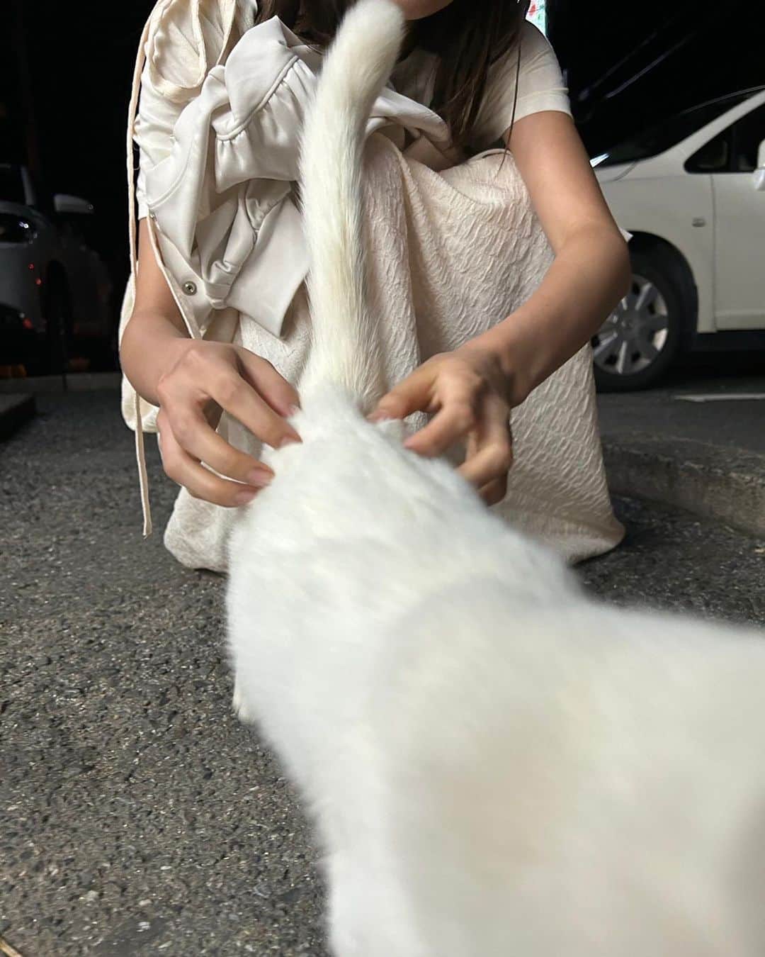松永有紗さんのインスタグラム写真 - (松永有紗Instagram)「マネージャーです🦭  帰り道、 コンビニによったときのこと、 #松永 さんのあしもとに、 🐈がニャ〜と、、 擦り寄ってきました😻 #ネコ さんにも愛される、 松永さんでした🐥  ちなみに、、 写真を撮っていたら、ワタシにも擦り寄ってきたけどne！ 誰でも良かった、とは言わせない😤  #猫  #cat  #photo  #happy」10月4日 23時10分 - arisa_matunaga