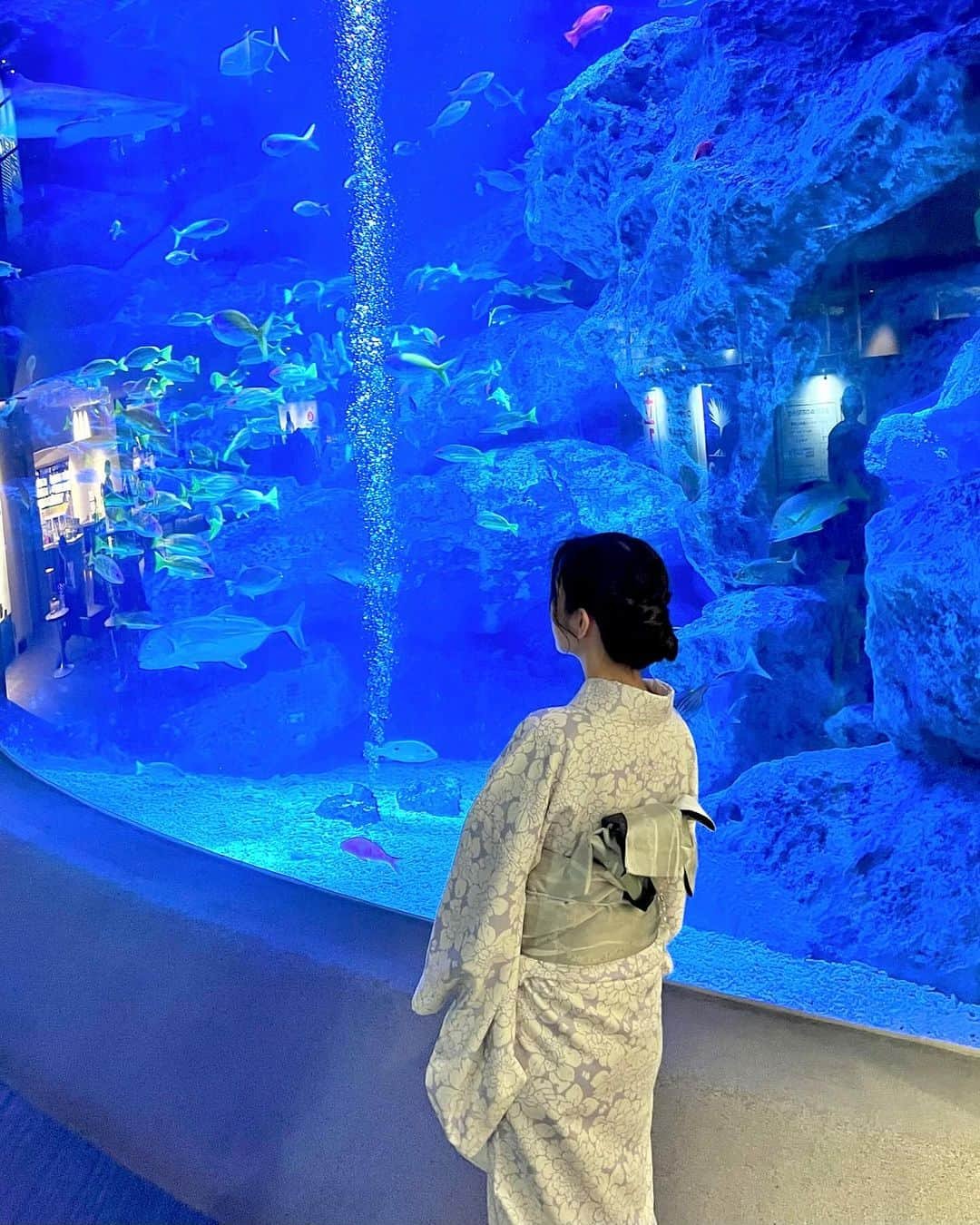 さわいえりのインスタグラム：「⠀ 浅草行った時に、  東京スカイツリーにある 『すみだ水族館』 初めていってきた♡  ペンギンがいっぱいで、 近くで見れて楽しい🐧  お土産に可愛いお饅頭買った🤍 しかも美味しくておすすめ♪  #東京スカイツリー#すみだ水族館 #ペンギン#着物#お着物」