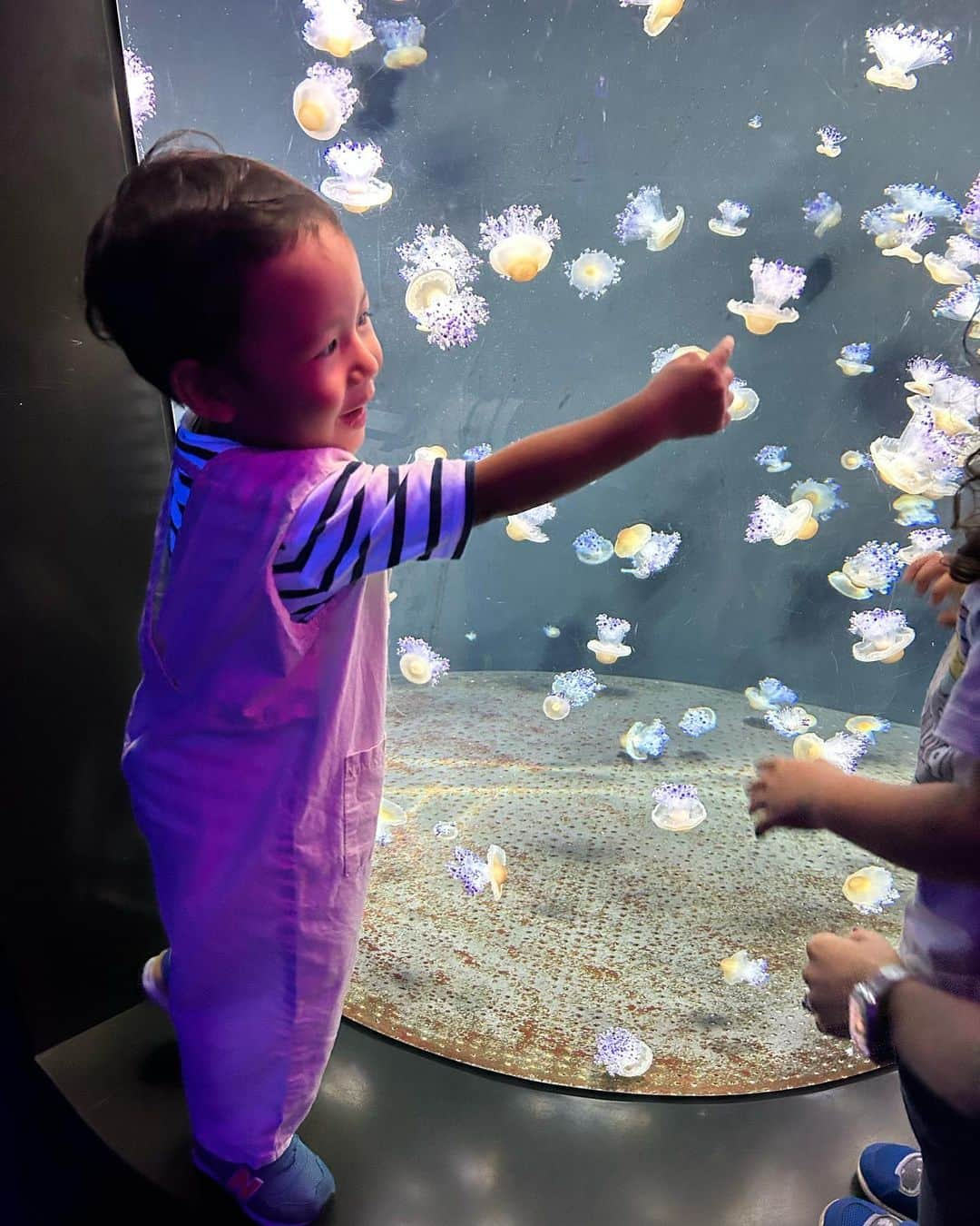 瀬間友里加さんのインスタグラム写真 - (瀬間友里加Instagram)「Sea Aquarium 🦈🩵🪼 親友くんシリーズ👬 今回はシンガポール水族館へ🩵 前回行った時よりじっくり見れるようになって成長を感じた日🥹 本当はテニスの日が雨で急遽予定変更😉 ヒトデ触ったり、シャーク見たり色んな種類の🪼見たり😃長男とのデート楽しみました😆笑#singapore #seaaquarium #シンガポール観光 #シンガポールライフ #シンガポール在住 #3歳児 #3歳男の子」9月30日 19時36分 - yurika.sema