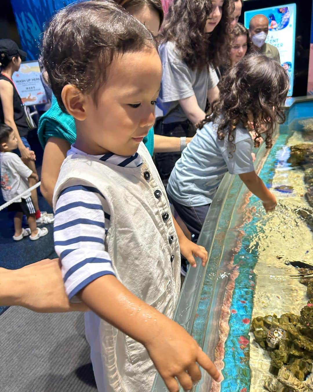 瀬間友里加さんのインスタグラム写真 - (瀬間友里加Instagram)「Sea Aquarium 🦈🩵🪼 親友くんシリーズ👬 今回はシンガポール水族館へ🩵 前回行った時よりじっくり見れるようになって成長を感じた日🥹 本当はテニスの日が雨で急遽予定変更😉 ヒトデ触ったり、シャーク見たり色んな種類の🪼見たり😃長男とのデート楽しみました😆笑#singapore #seaaquarium #シンガポール観光 #シンガポールライフ #シンガポール在住 #3歳児 #3歳男の子」9月30日 19時36分 - yurika.sema