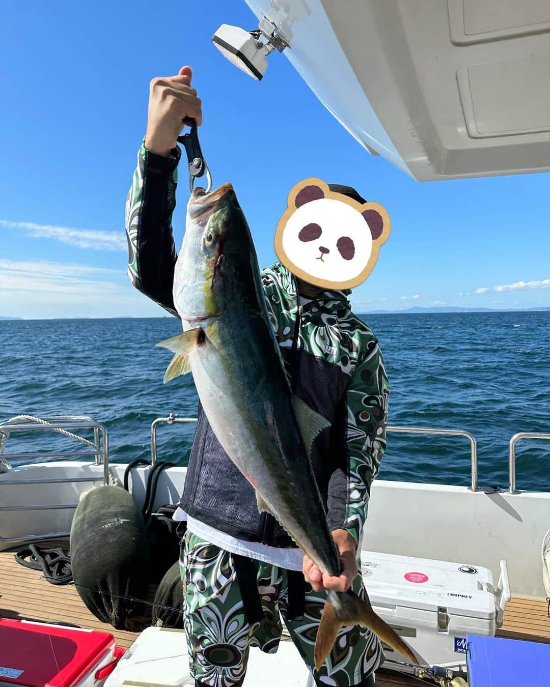 Yuika Matsuさんのインスタグラム写真 - (Yuika MatsuInstagram)「釣り🎣 　 釣りガールの @saya.aoi さんにお誘いいただき…♡ タチウオジギングに行ってきました🛥️ 　 @sayurindesu さんとも会えて嬉しかったー！ 　 　 今の時期めちゃくちゃタチウオが釣れるのか 落としてる瞬間からHITして、上げて また落として…の繰り返し🥴 　 初めてだけど、めちゃくちゃ楽しかった🩷  　 1番びっくりしたのが ズンっとした重さがいつもより感じて 重いなーーー！うわぁーーー！って叫びながら あげると２匹同時にHITしてたの✨ 　 　 そんなことあるんやーーーー！笑  　 旦那さんも一緒だったんだけど なぜかブリが釣れてました🤣w 　 家では釣れたブリに炙り太刀魚 イカ、旦那さん自家製のイクラで 海鮮丼を作って食べたよ！美味しかった🤤 　  カラフルでかわいい フィッシングウェアは @loudmouth_japan_official  @loudmouth_hommachi @loudmouth  さんのもの🧡 　 まだまだ日差しが暑いから ラッシュガードは必須☀️🕶️ 　 　 #釣果グラム   #タチウオ釣り #タチウオジギング #Jigging  #釣り #釣り女子 #釣りガール #Fishing #fishinglife #Fishinggirl #海釣り#魚好き#釣り#釣果#釣り好き#アングラーズ  #ツリジョ#フィッシングガール#釣りデビュー」9月30日 19時48分 - yuika00802