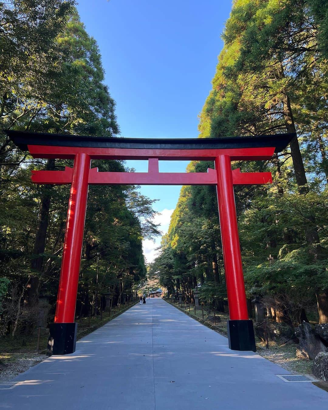 たけるさんのインスタグラム写真 - (たけるInstagram)「【最近の参拝歴】 霧島神宮　鹿児島県霧島市  瓊瓊杵尊（ににぎのみこと）が祀られてる神社  鳥居は新しくなったのか綺麗な赤 ムックぐらい赤い ムックレッド 社殿も朱色といろんな彫り物に色がついてて素晴らしい スプラトゥーンぐらい色がある スプラトゥーンカラフル 国宝らしいよ 朱色と綺麗な色合いから西の日光って言われてるらしいよ 日光東照宮ぐらい煌びやかって意味だね すんばらしい 霧島神宮は場所を3回も変えてるんだって 引っ越し多いね ベートーベンぐらい引っ越すね ベートーベンは生涯で79回らしいよ 生涯の引越しの回数じゃないね 生涯のお酢でむせる回数だね 元々あったのは高千穂峰 ここは次更新するよ すごかったよ 色んな意味ですごかったよ 錦糸町のすごいを全部集めてギュッとしたぐらいすごかったよ 錦糸町のすごいを全部集めてギュッとしたぐらいすごかったよ？ まぁ見ておくれ 鳥居カッケェ。。。。  #東京ホテイソン #たける #神社 #グレープカンパニー #備中神楽 #霧島神宮 #高千穂峰 #鹿児島 #瓊瓊杵尊 #パワースポット #鳥居カッケェ」9月30日 20時12分 - takayanken