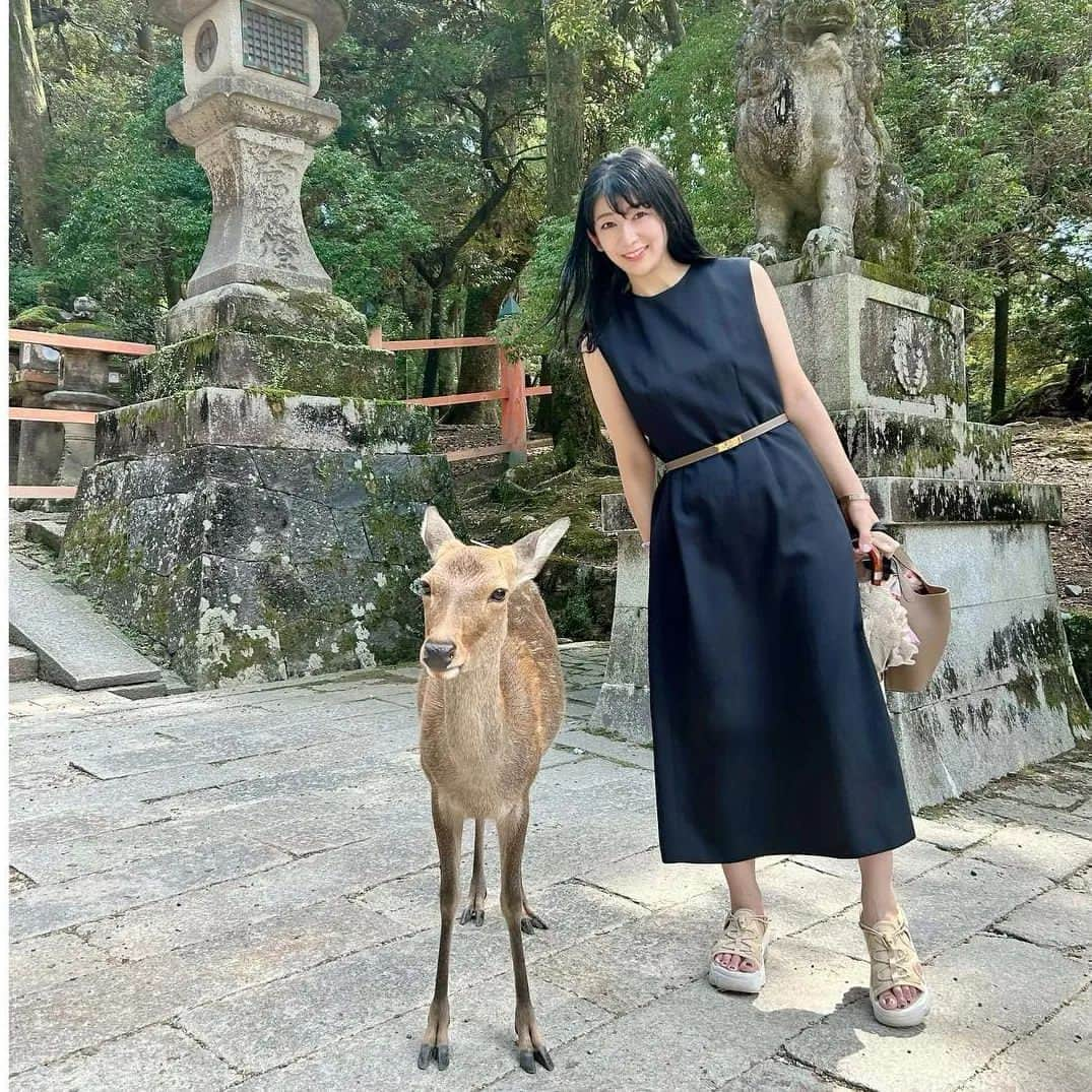 アースモデルスさんのインスタグラム写真 - (アースモデルスInstagram)「#田辺麻衣   アースモデルス 田辺麻衣  ·  * 🦌🦌🦌  #秋休み #いざいざ奈良 Reposted from @maitanabe1029  #モデル #イアラ #イアラモデルエージェンシー #イアラモデルス #イアラグレース #アースモデルス #アネラ #モデルエージェンシー #モデル事務所 #モデル募集 #ファッション #ファッションモデル #model #iaramodelagency #青山 #表参道 #外苑前」9月30日 20時21分 - earth_models_jp