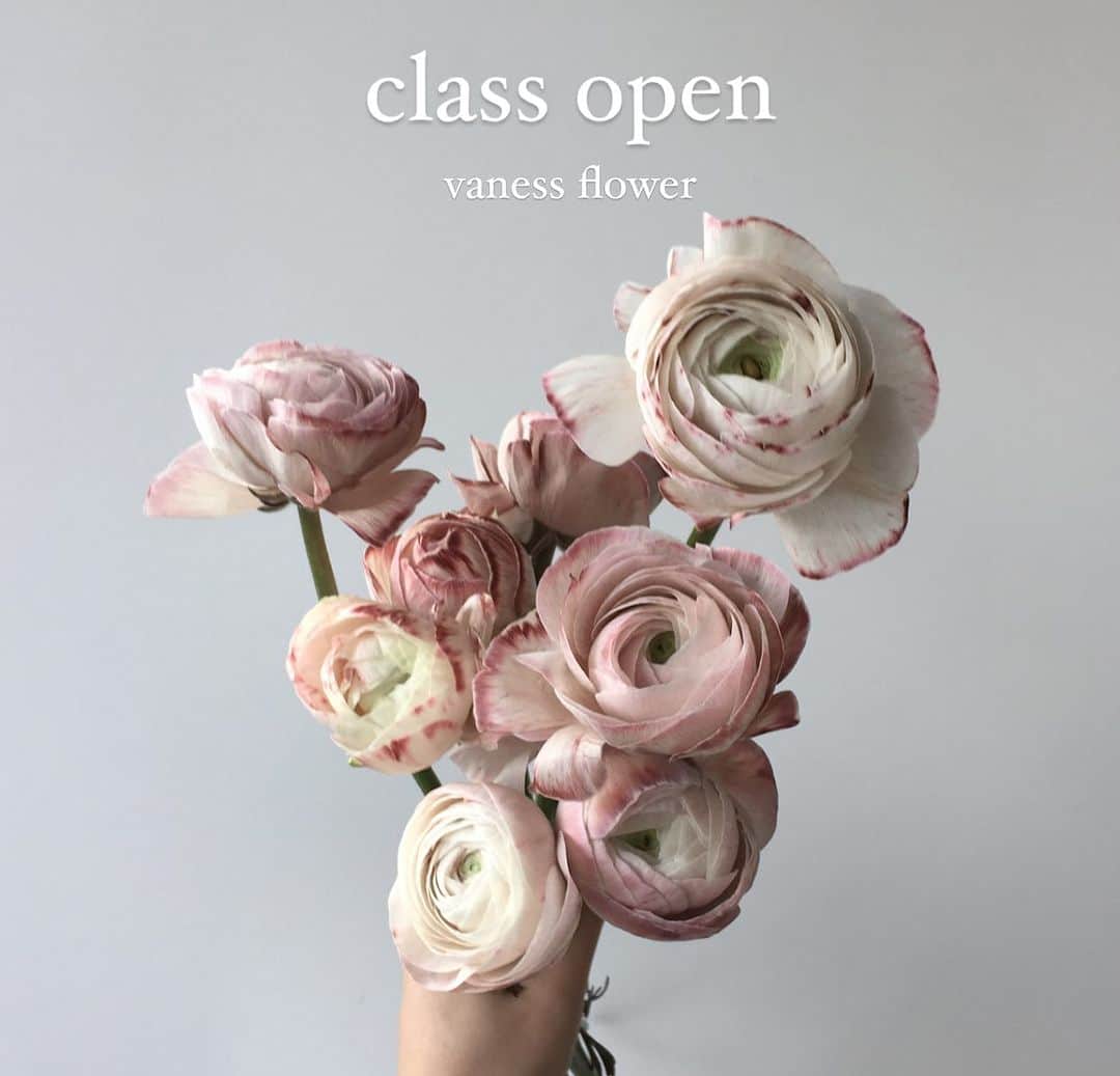 플로리스트 이주연 florist Lee Ju Yeonのインスタグラム：「. . 10월 Hand tied class 3회  .  매주수요일 10am  10/11 10/18 10/25  . 핸드타이드 마스터 클래스는  총 3회 과정으로 중급2번 고급 1번 과정의 수업으로 진행되며  디테일한 이론과 꽃다발에 대한 이해도와 개념정리를 정확히 해드리고  본인의 잘못된 핸드타이드 습관을 고쳐 드리며  이론 실기 포장이 디테일하게 티칭이 들어갑니다  모든 수업에는 포장이 포함 되어 있으며  3주 과정 전부 다르게 진행됩니다   10월 창업반 개강모집  . 10/12 목 10am 17회,30회 . 자세한내용은 인스타상단 블로그링크 통해 확인부탁드립니다 🙏🏻 . 문의 DM , katalk ID vaness52 . 바네스플라워 VANESS FLOWER . Katalk ID vaness52 E-mail vanessflower@naver.com . Paypal payment possible . 서울시 중구 청파로464 브라운스톤서울 101동2806호 📞02-545-6813」