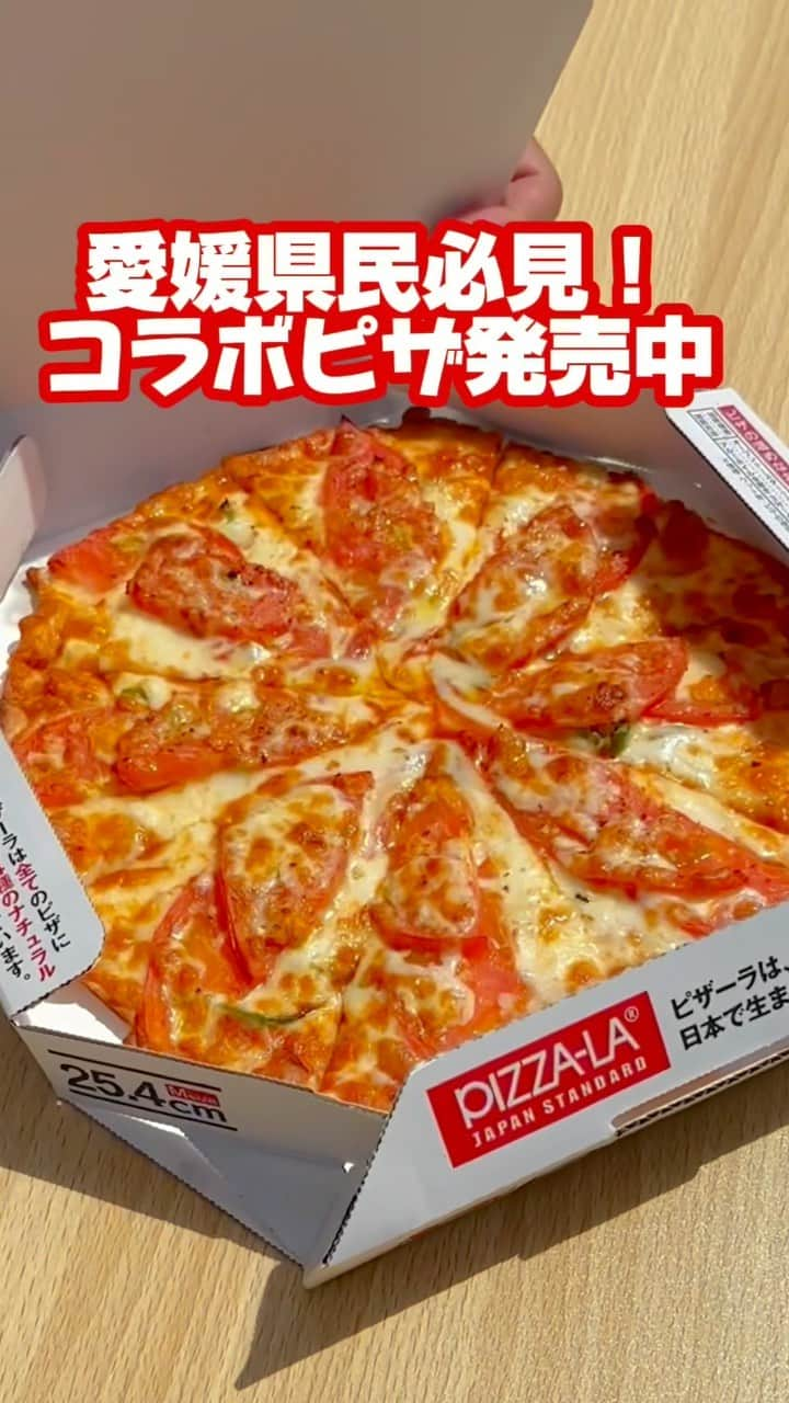 ピザーラのインスタグラム：「【ピザーラが食べたくなったらコメント欄に🍕を書いてね！】  愛媛県民必見💡 期間限定でピザーラと愛媛県のコラボピザが発売中です！  久万高原町の桃太郎トマトを使ったイタリアーナ🍅✨  10月いっぱいまでピザーラ松山枝松店と愛媛県内のピザバスで販売中🍕  お見逃しなく👀✨  -———— ピザーラ公式アカウントでは、PIZZA-LAのお得な最新情報をお届けしています🍕  皆さまもぜひピザーラを食べた際には #ピザーラ#ピザーラお届け のハッシュタグをつけて感想を教えてくださいね✨ お写真をご紹介しちゃうかも？😆 投稿、お待ちしています♪  #pizza_la #ピザ #ピザパーティー #ピザパ #ピザ屋 #ピザ好き #ピザ好きな人と繋がりたい #pizza #japanesepizza #東京美食 #愛媛県 #愛媛グルメ #松山グルメ #みきゃん  🍅🍕愛媛県キッチンカースケジュールはこちらです！🚚  10月14日(土) 〜 16日(月) フジグラン新居浜店　愛媛県新居浜市新須賀町2丁目10-7 ▷14日・15日は11：00～19：00、16日11：00～21：00 ▷ご予約お電話番号：070-6486-6762  10月20日(金) 〜 21日(土) セイムス西予野村店　愛媛県西予市野村町野村15丁目503-1  ▷20日(金)15：00～19：00 、21日(土)11：00～19：00  ▷ご予約お電話番号：070-6486-6762  10月22日(日) クアテルメ宝泉坊　愛媛県西予市城川町高野子4 ▷22日(日)11：00～19：00 ▷ご予約お電話番号：070-6486-6762  10月28日(土) 〜 29日(日) フジグラン川之江店様　愛媛県四国中央市妻鳥町１１３６−１ ▷営業時間：11：00～19：00 ▷ご予約お電話番号：070-4579-0433」