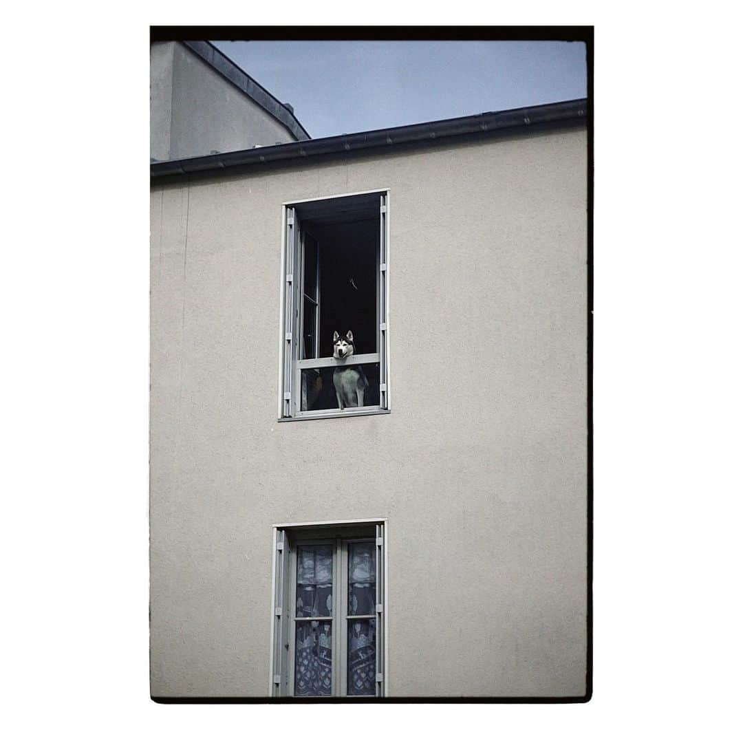 岩崎拓馬さんのインスタグラム写真 - (岩崎拓馬Instagram)「🇫🇷🇫🇷🇫🇷🇫🇷 . . 窓をあけるとこっちをみてた。  そんないい朝。 . . #paris #happytime」9月30日 20時48分 - happy_takuma