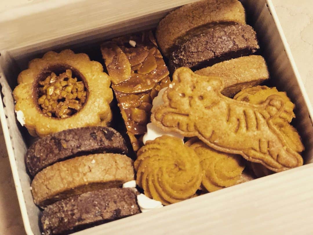 くるみさんのインスタグラム写真 - (くるみInstagram)「きょうはくるみの日🐶🐾 くるみも飼い主も、めちゃ美味しいクッキー🍪でしあわせに過ごしました🐾  ありがとう😊ありがたい！  #9月30日はくるみの日」9月30日 21時25分 - kurukurukurumi222