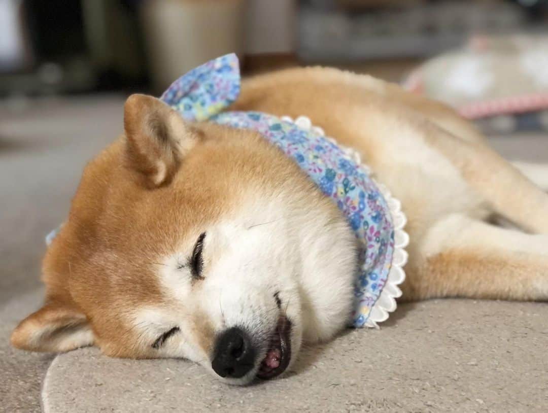 くるみのインスタグラム