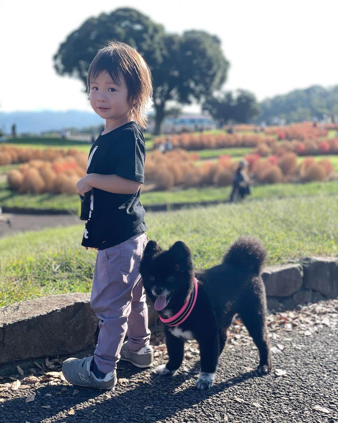 川島章良のインスタグラム