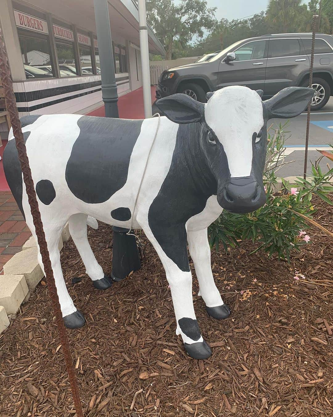 上原浩治さんのインスタグラム写真 - (上原浩治Instagram)「アメリカ🇺🇸にも居た〜🐄  モー、ステーキが🥩美味しかったです😋  #🐄　#ステーキ　#🍷　#美味しい　#楽しい　#笑い  @koji19ueharaのフォローをお願いします  #上原浩治の雑談魂   http://www.koji-uehara.netにコメントを」9月30日 21時40分 - koji19uehara