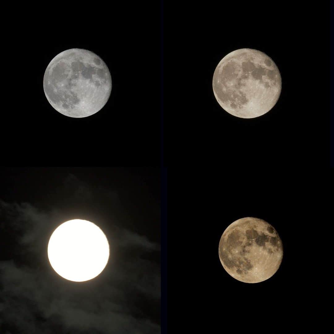 高野寛のインスタグラム：「月は何度撮っても飽きないな」