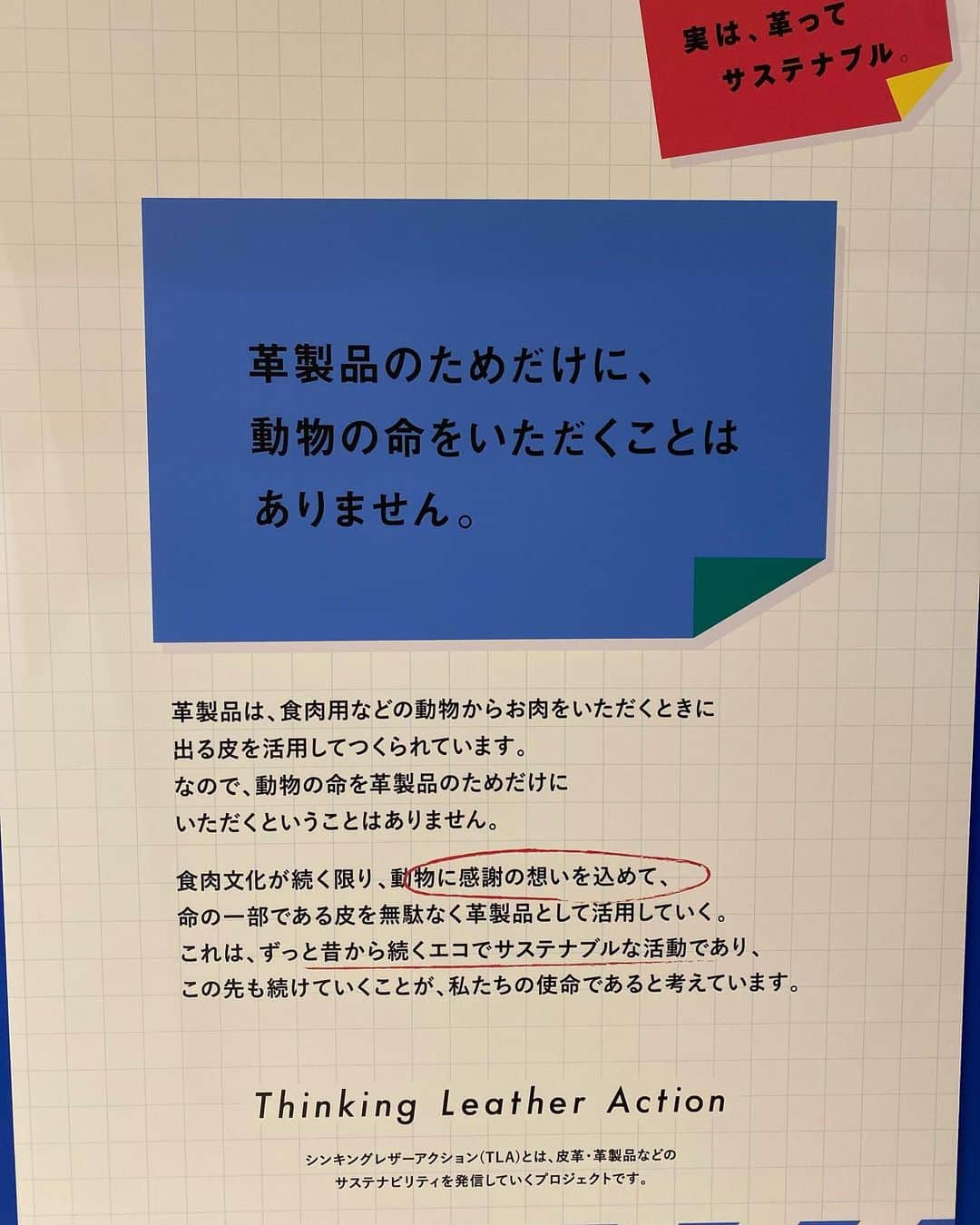 蒼れいなさんのインスタグラム写真 - (蒼れいなInstagram)「「Leather World 2023」  この時代にレザーを使うことについて最近考えていたからいい学びになったな。  一番安心するのは皮をとるために動物を殺めることはないこと。  栄養として頂くほかに、余すことなく命をいただくこと  感謝の気持ちをもって 大事に手入れをして長く使っていくこと  今持っているレザーのものを大事に使っていきたいなと改めて思ったよ😌  エコレザーとリアルレザーの違いも中々難しかった！  自分の持っているレザーの持ち物もお手入れできるんだって☺️  今日もっていたのがハンドメイドの @strathberry のレザーのカバンだったのだけど、  これもお手入れしながら大事に使っていきたいなー💓  気に入って毎日使ってるから笑  感謝の気持ちをもって🙏💓  あした10/1までスクランブルスクエア7Fのほかに2FでもレザーのPopupをやっているよ💓  #leatherworld2023 #japanleather #pr #テーーマ #strathberry #thinkingleatheraction」9月30日 22時38分 - reina_aoi_official